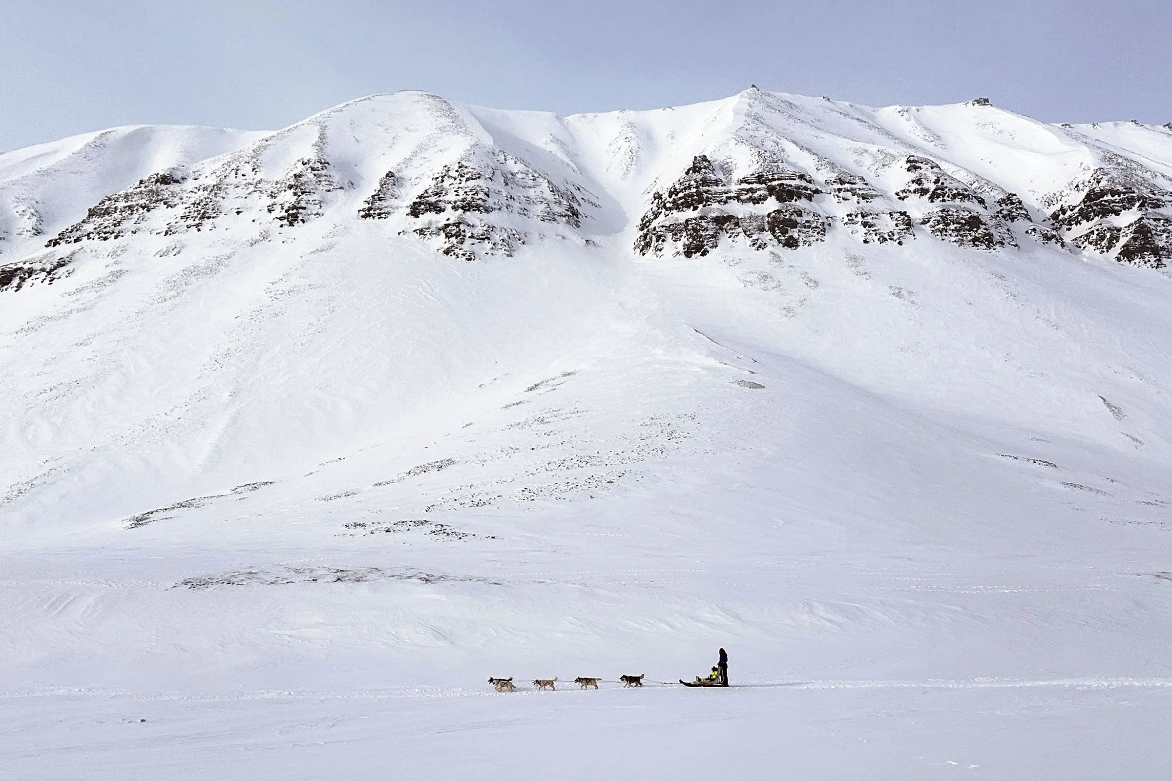 Ett hundspann framför snötäckta berg på Svalbard