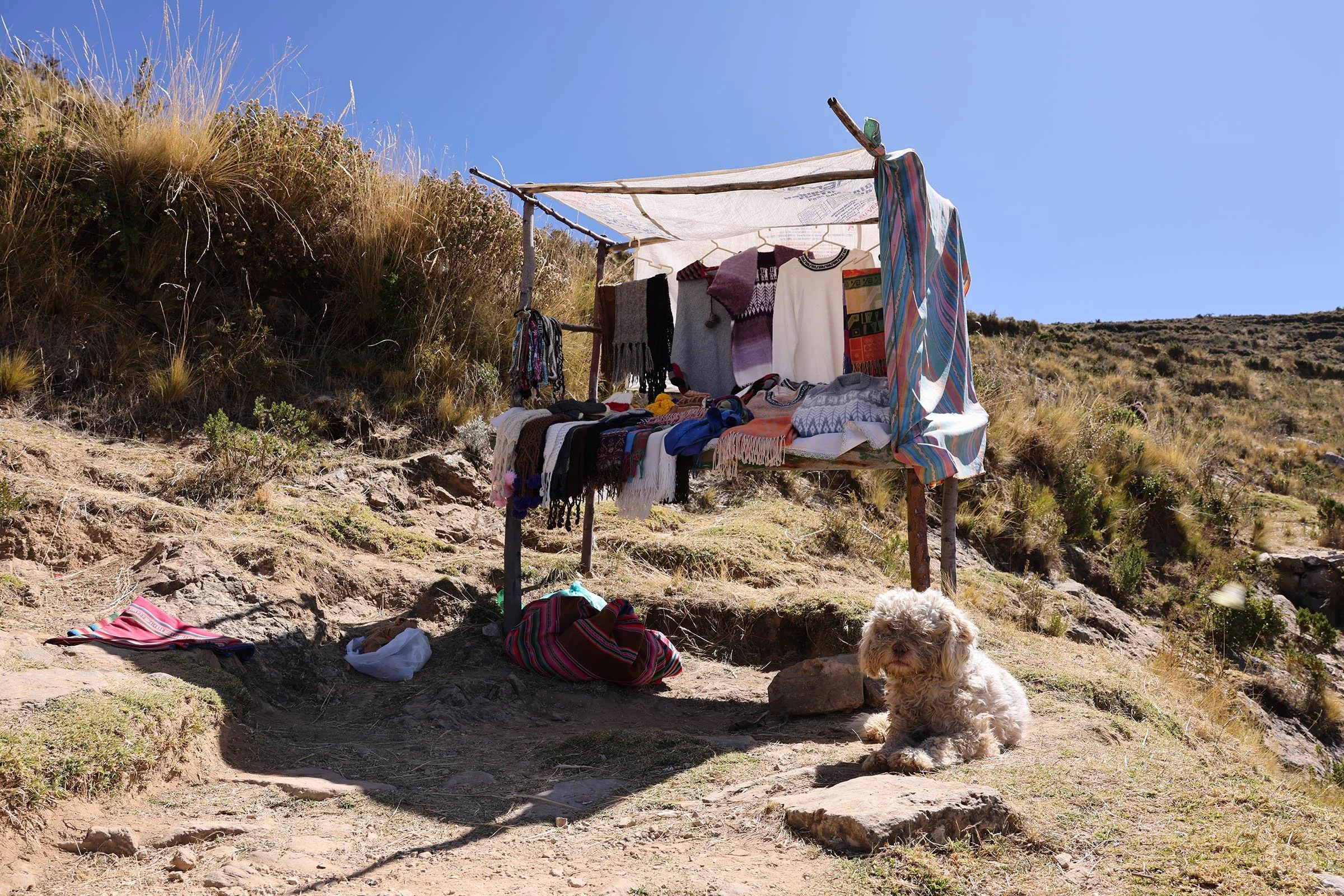 En vit lurvig hund ligger och vaktar en bord med försäljning av textilier på ön Isla del Sol i Titicacasjön, Bolivia