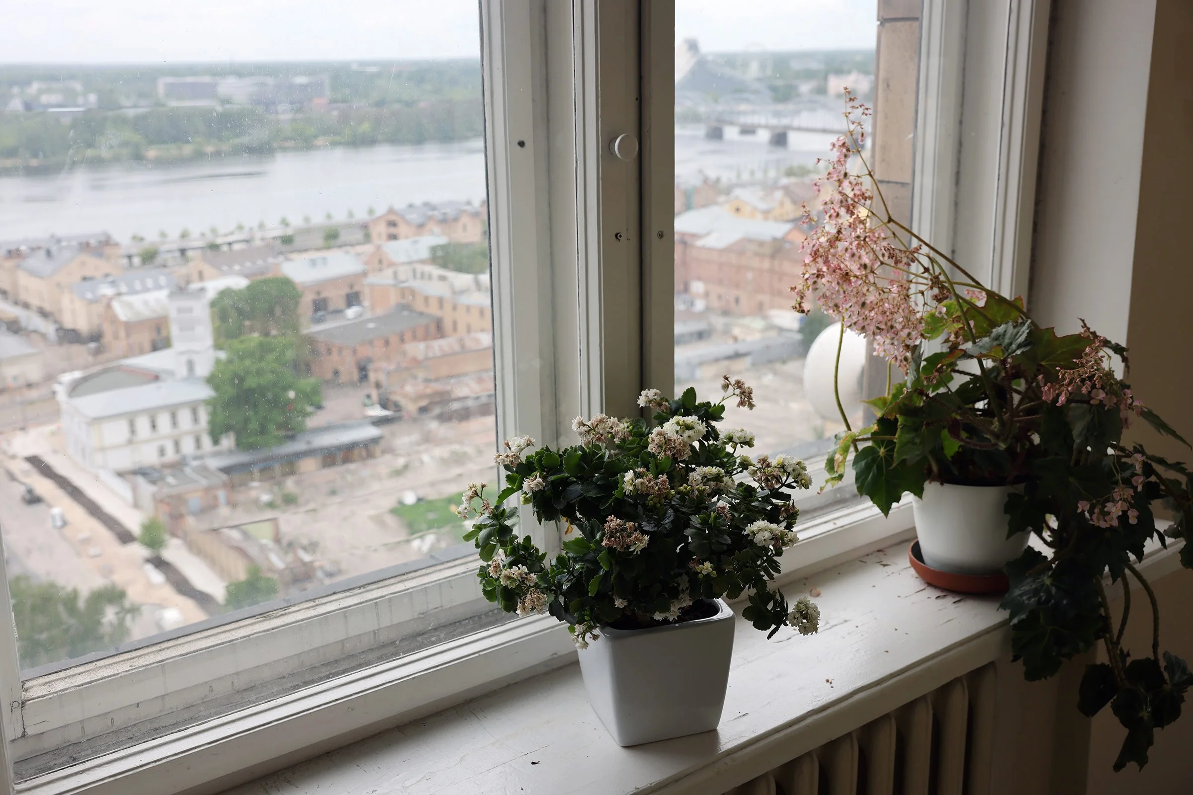 Ett fönster med prydnadsväxter och utsikt över Riga på väg upp till sjuttonde våningen i Lettlands vetenskapsakademi