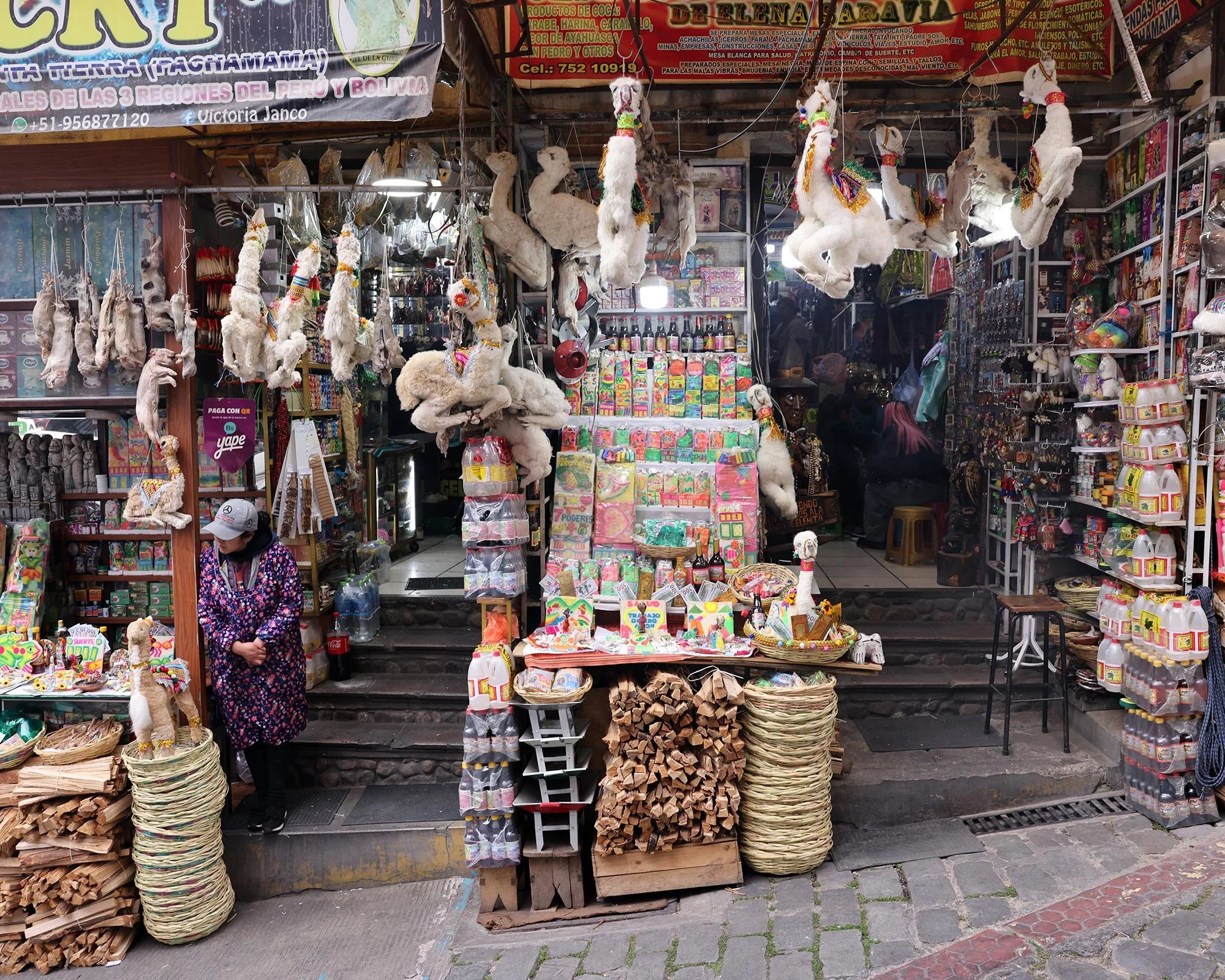 Döda lamafoster på häxmarknaden i La Paz, Bolivia