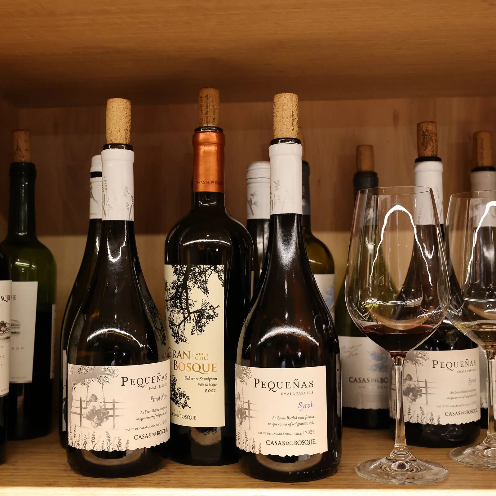 Vinprovning på vingården Viña Casas del Bosque, Chile