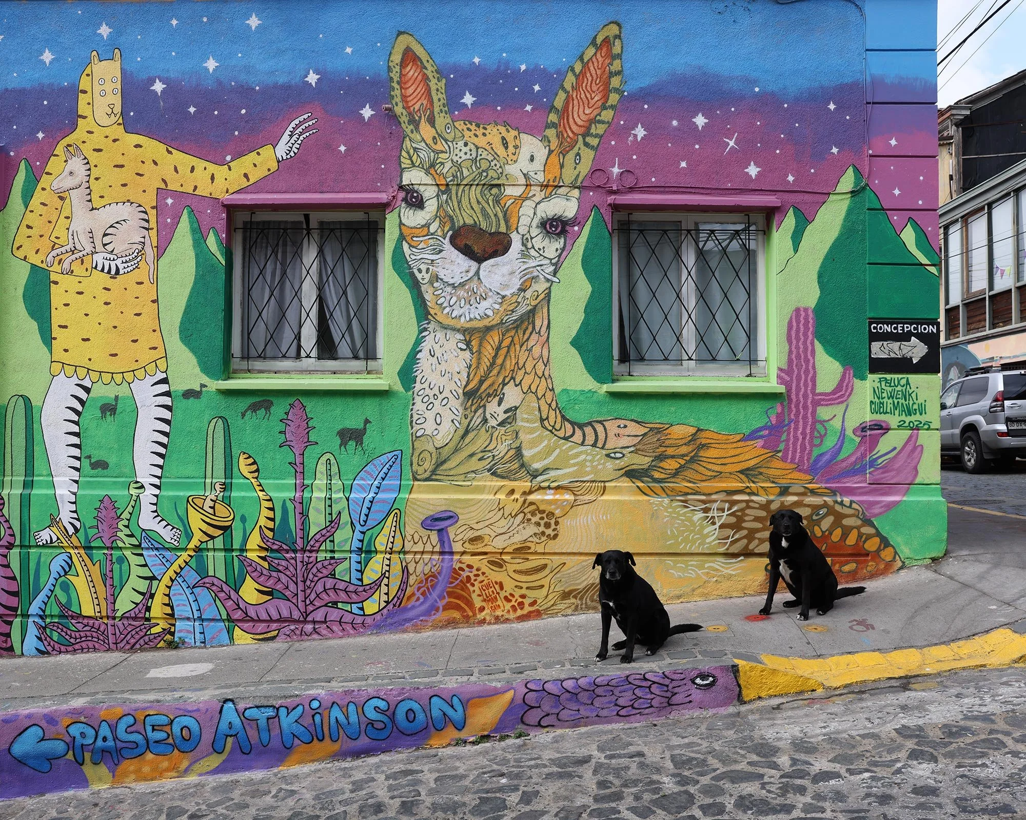 Streetart och två svarta hundar i Valparaiso, Chile