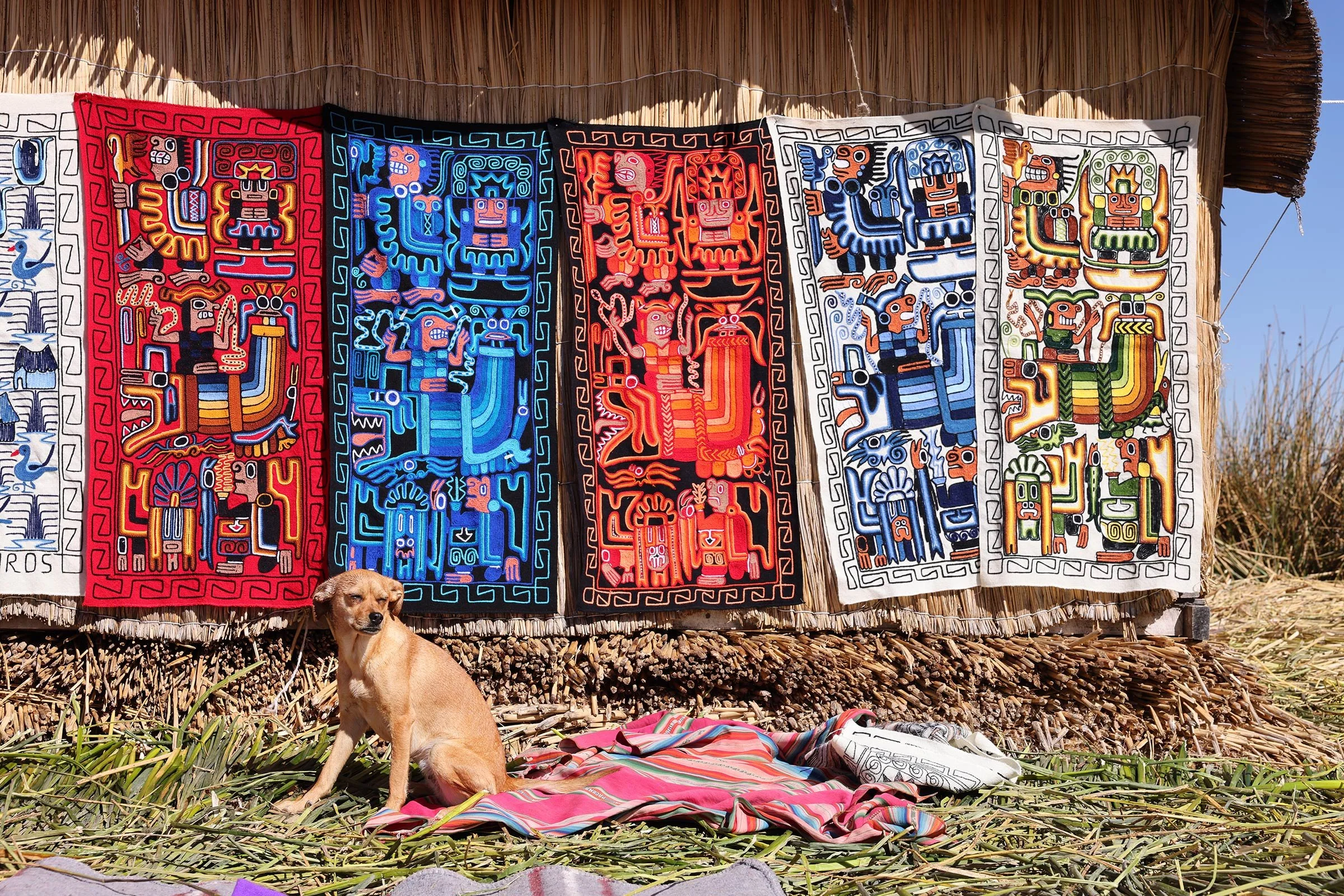 En hund sitter framför ett hus av vass, dekorerat med färgstarka väggbonader på en av Uros flytande vassöar i Titicacasjön, Peru