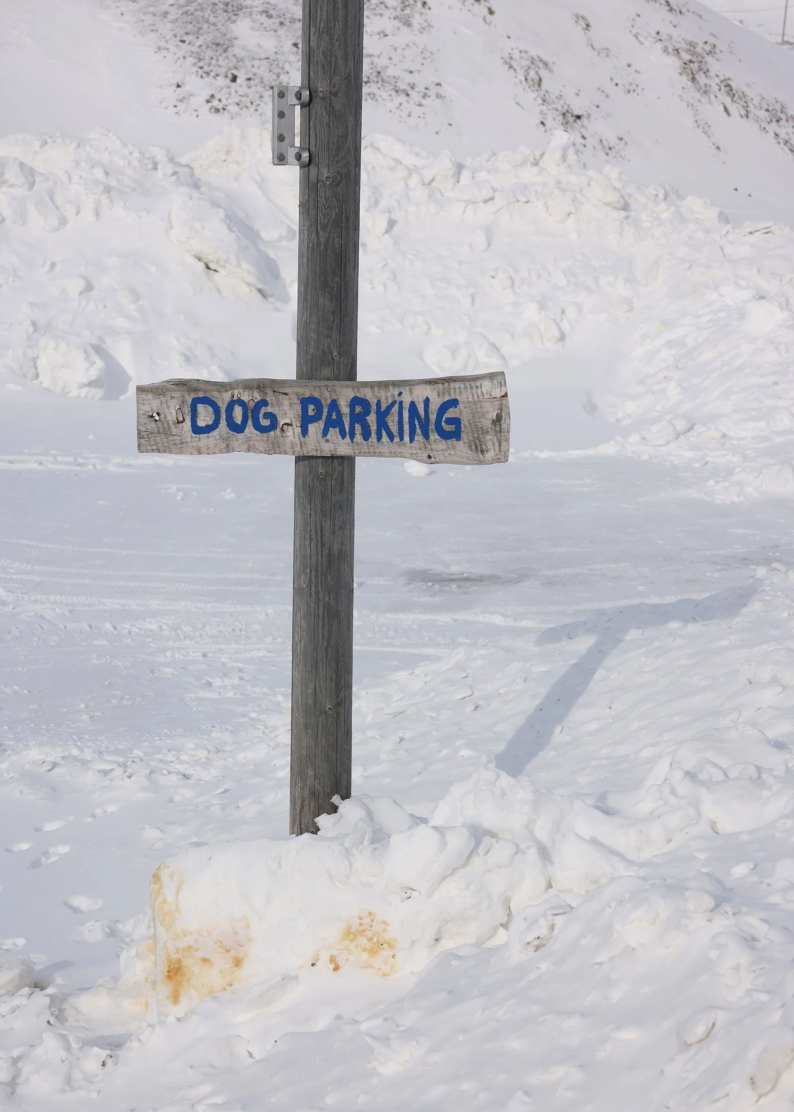 Ett snöigt landskap och en stolpe med skylten "Dog parking", Longyearbyen, Svalbard