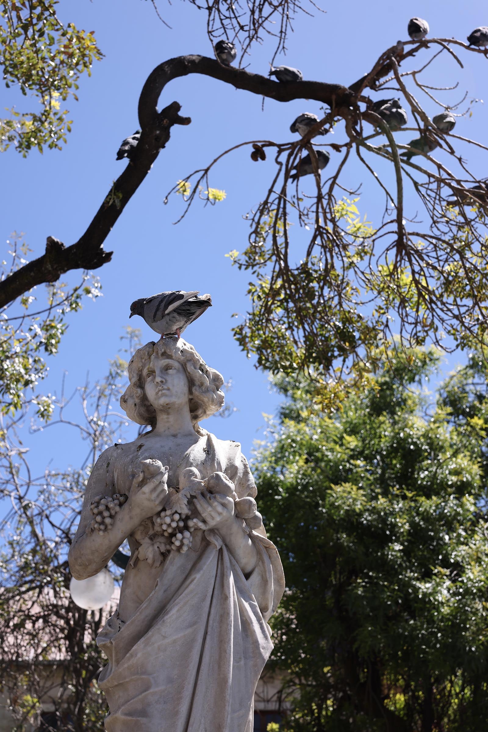 Staty på Plaza Murillo med en duva på huvudet, La Paz, Bolivia