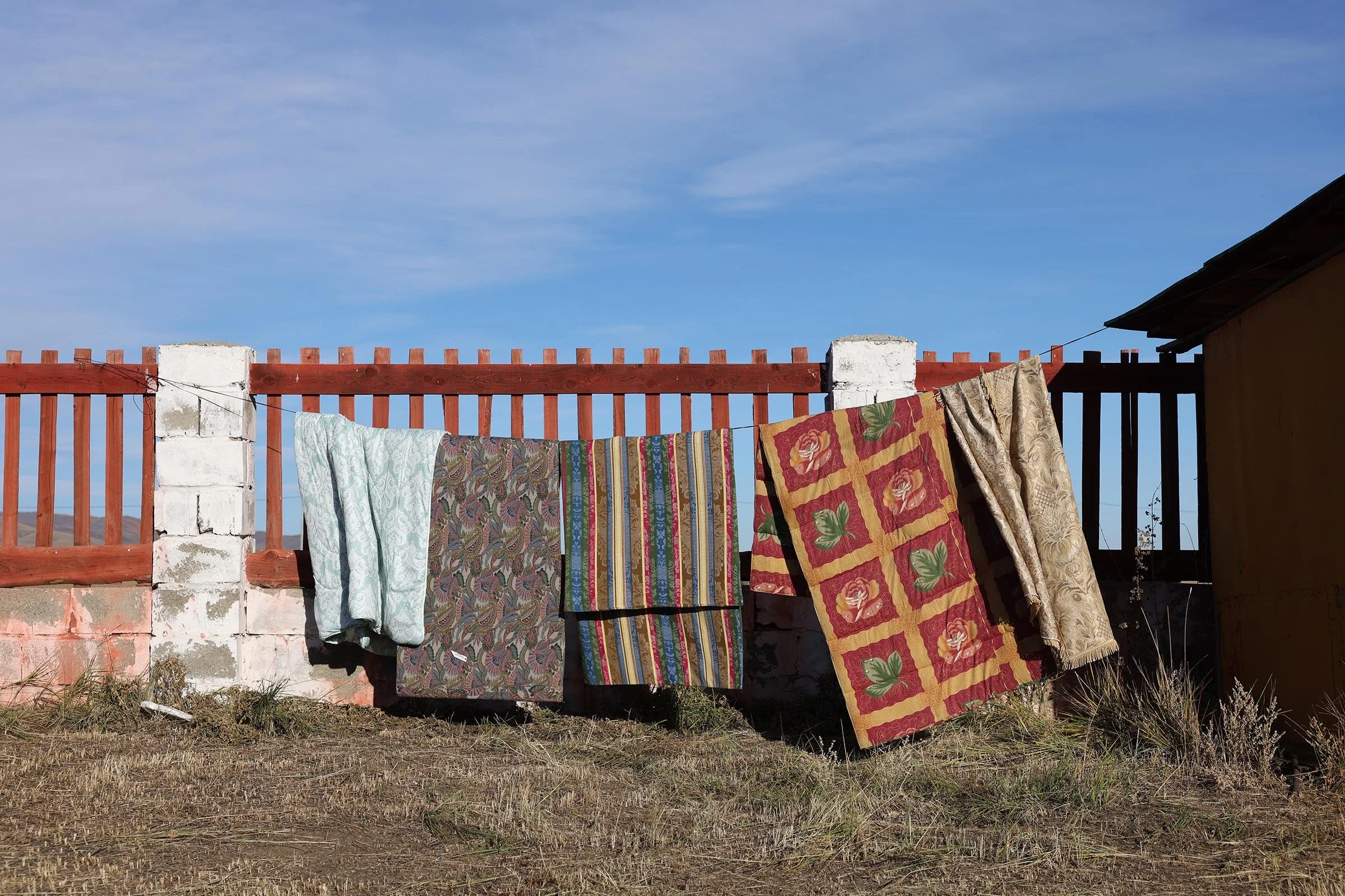 Fem mönstrade filtar som hänger på vädring vid ett rött staket i Mongoliet