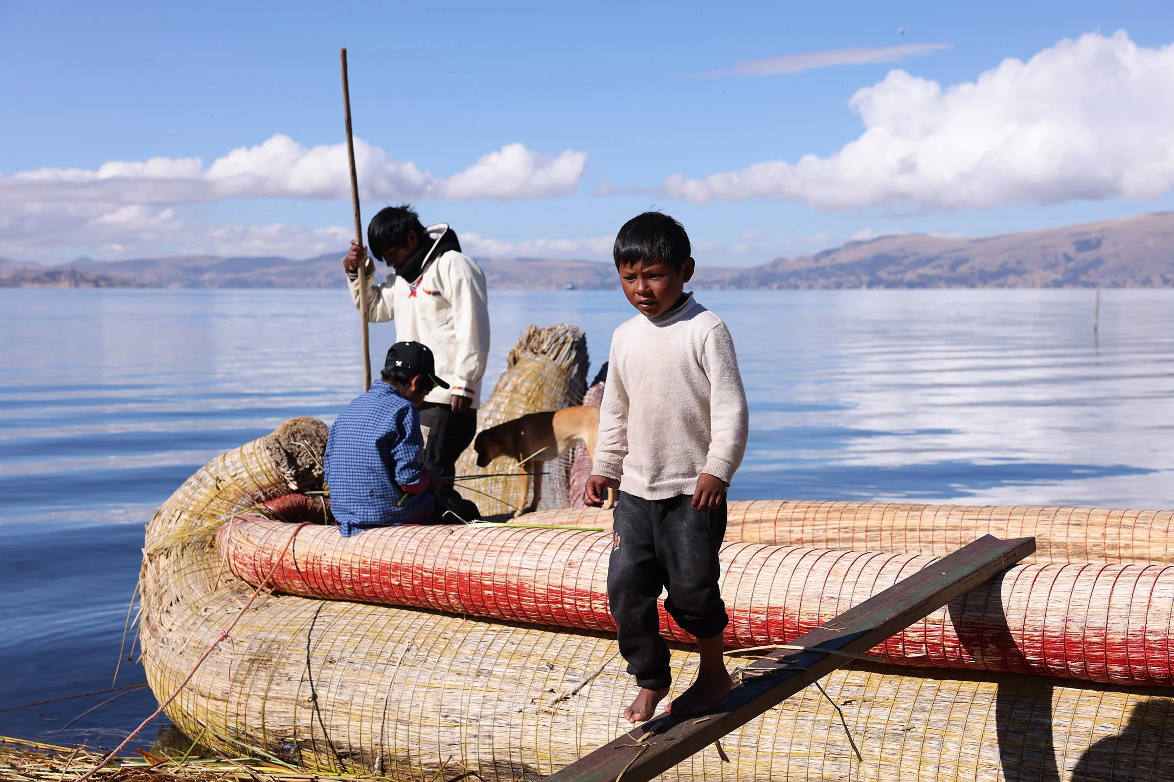 En pojke från urosfolket går på en spång mellan en totorabåt och vassen på en av Uros flytande vassöar. Titicacasjön, Peru.