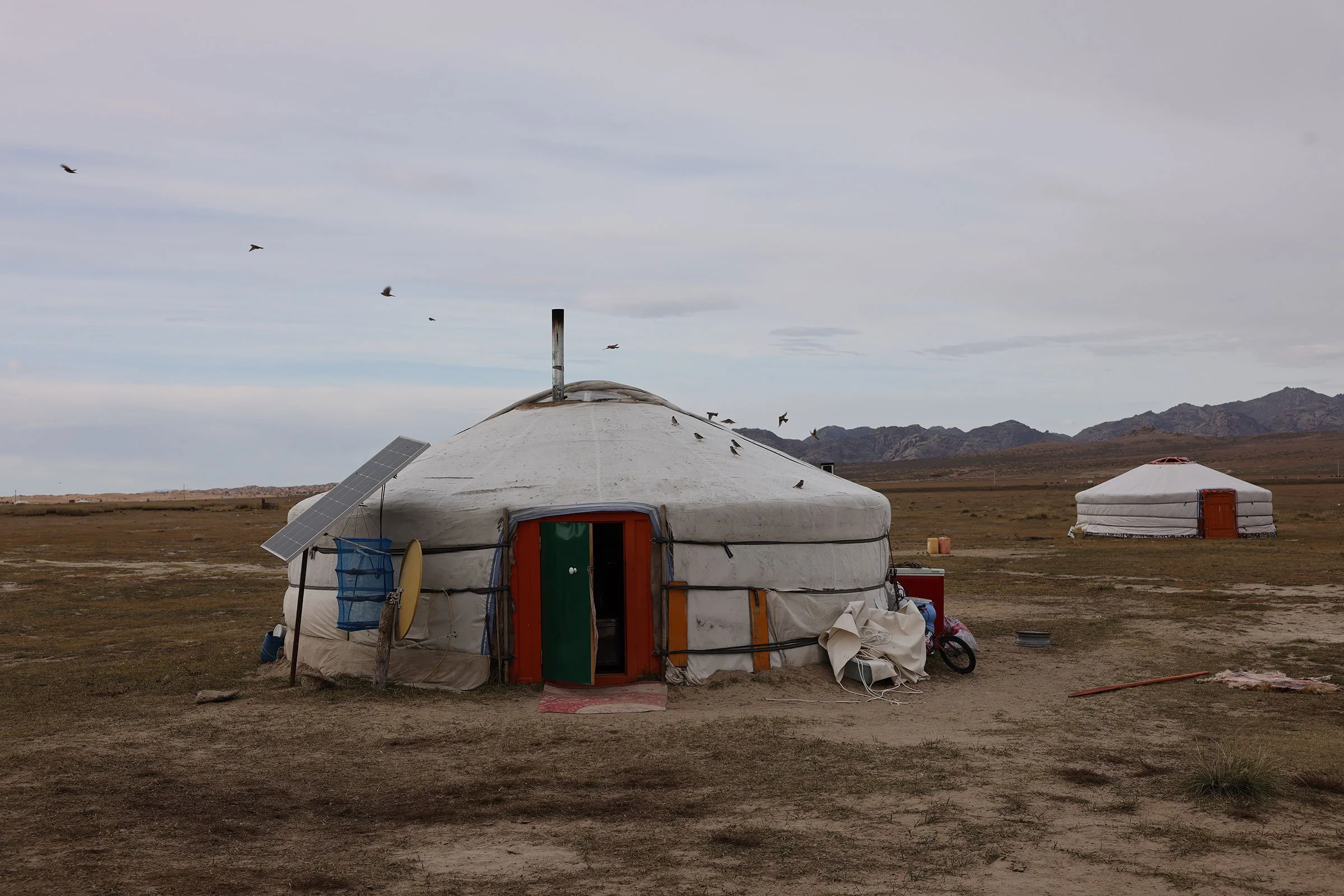 Traditionell mongolisk ger ute på en stäpp i Mongoliet