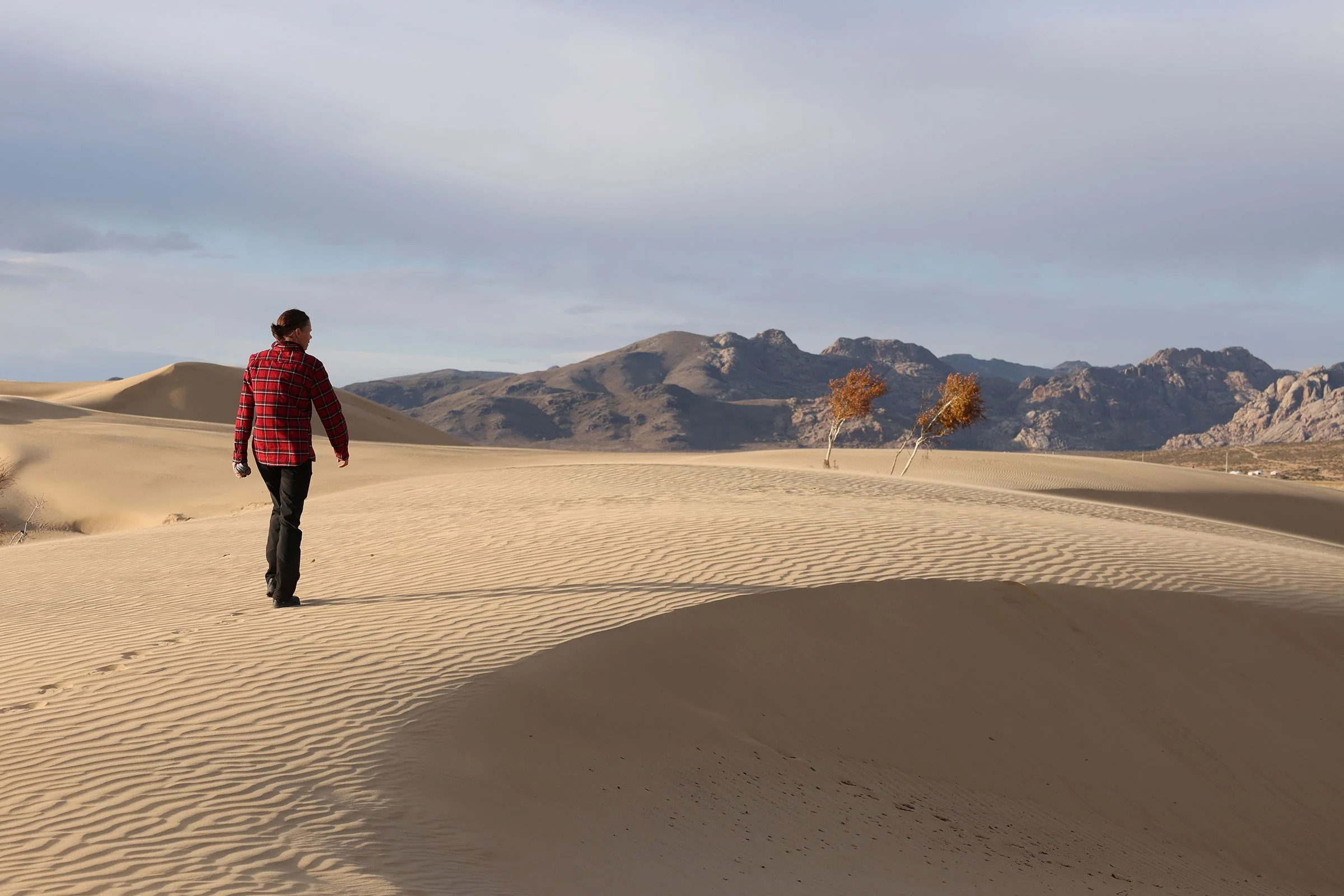 Sanddyn i Elsen Tasarkhai, Mini Gobi, i Mongoliet