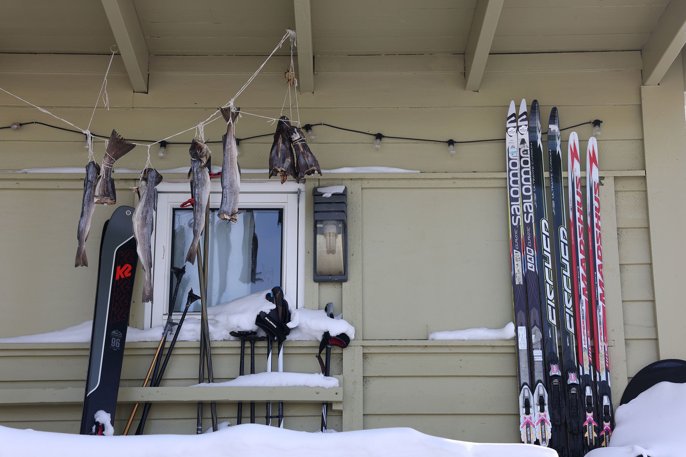 Fisk på tork och skidor mot en grön husvägg på ett snöigt Svalbard