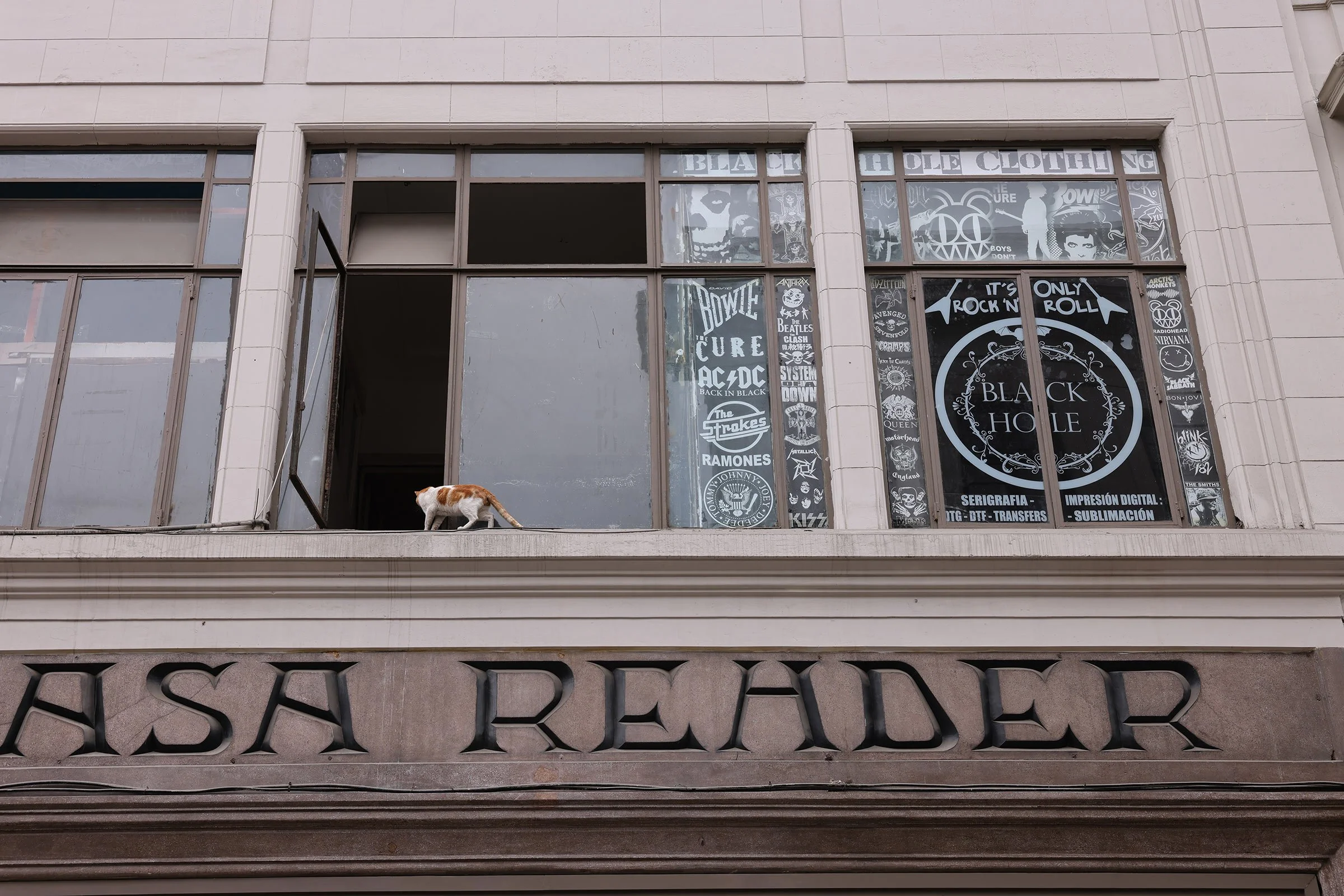 En rödvit katt som går högt upp på ett fönsterbläck till ett hus på en gata i centrala Lima, Peru