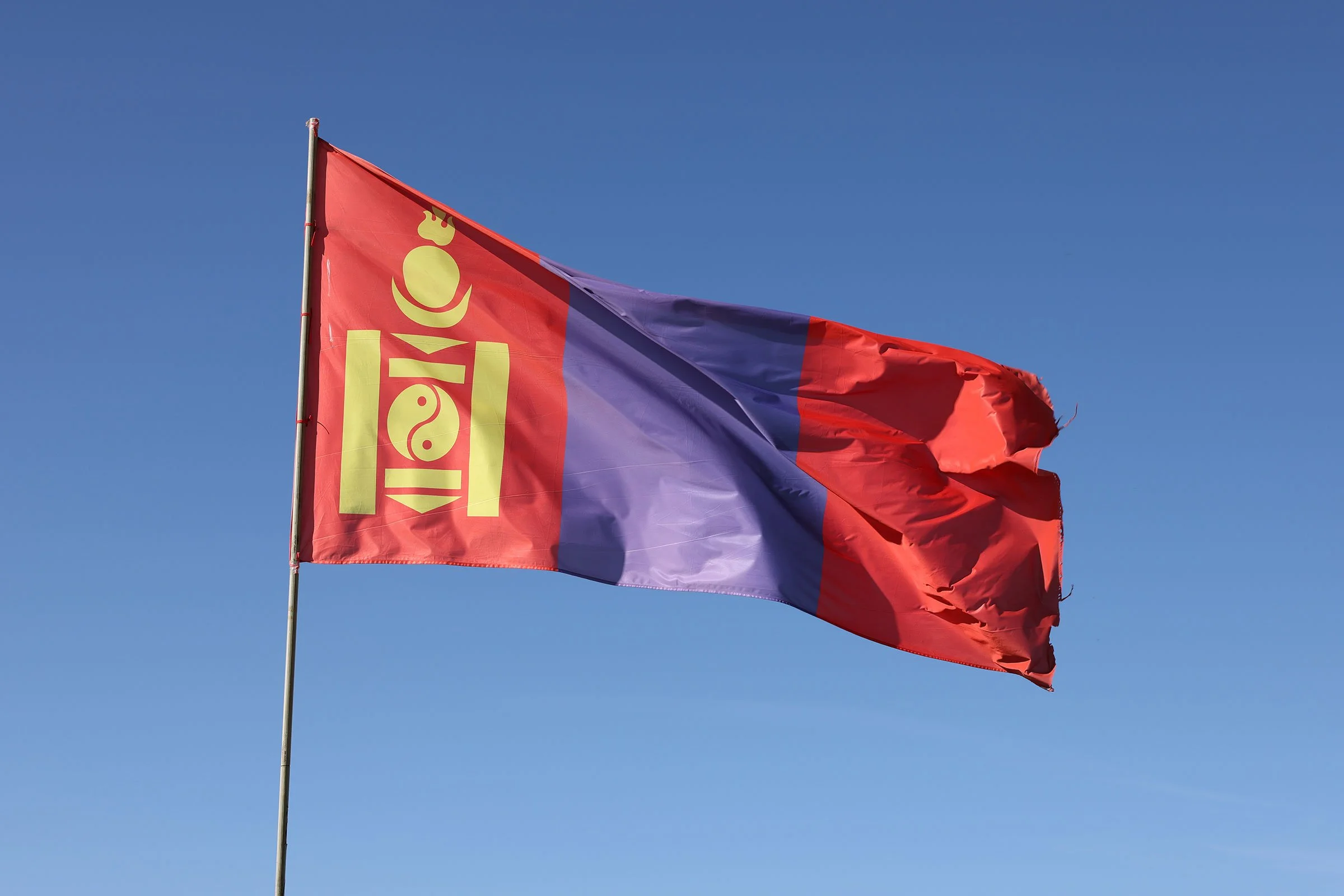 Mongoliets flagga