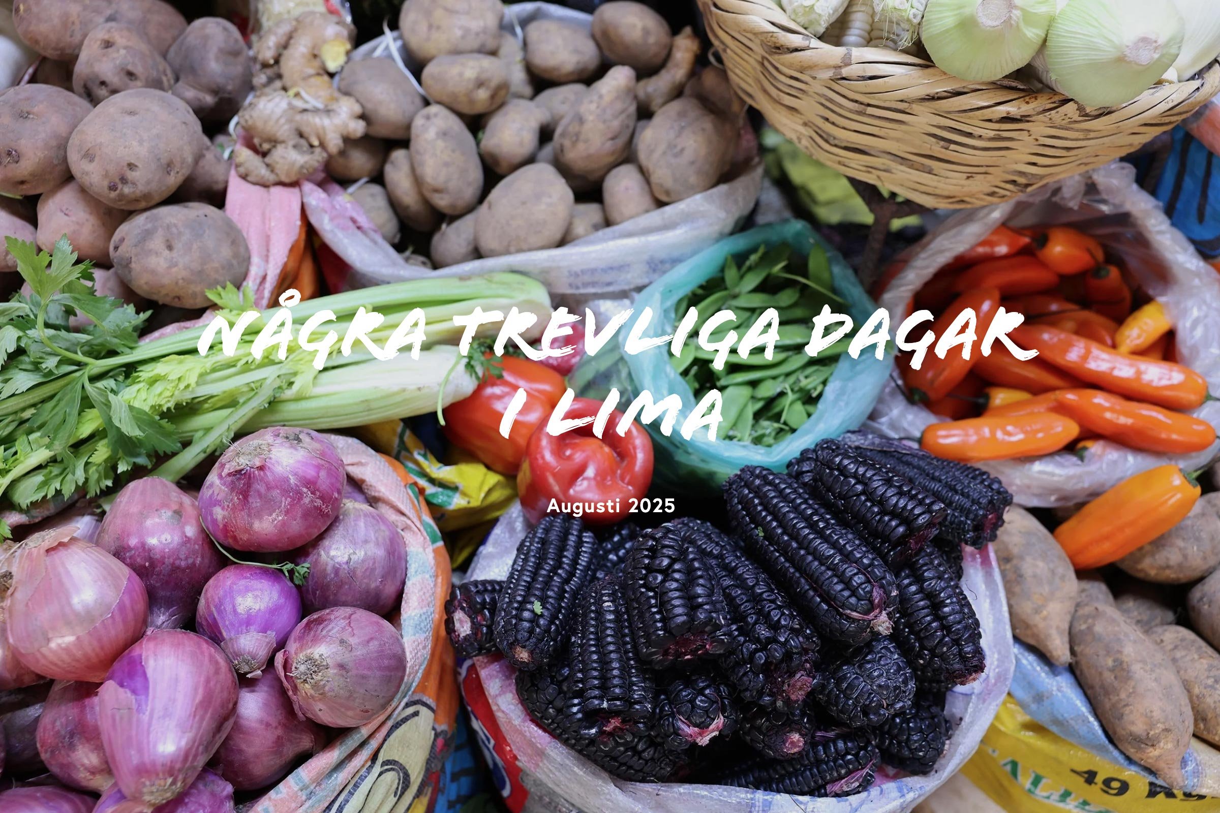 Några trevliga dagar i Lima