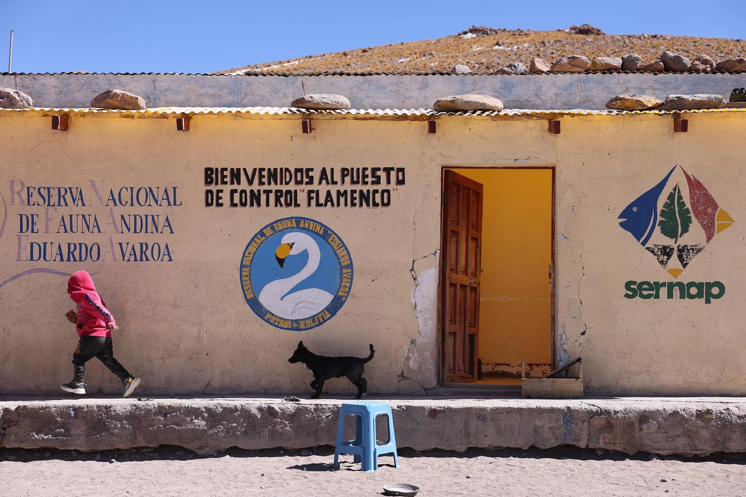 En pojke blir jagad av en hundvalp utanför ett hus i Reserva Nacional de Fauna Andina Eduardo Avaroa, Bolivia