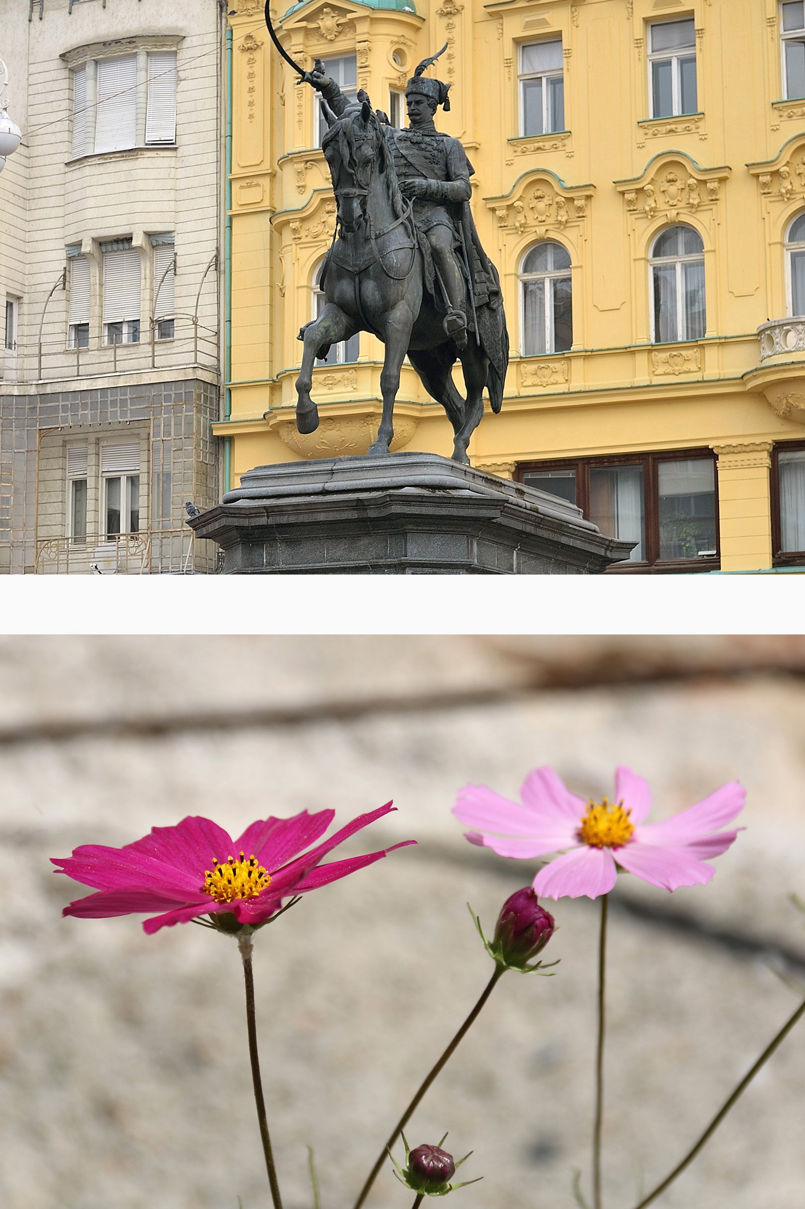 Ryttarstatyn föreställande Josip Jelačić på Ban Jelačićs torg, Zagreb, Kroatien