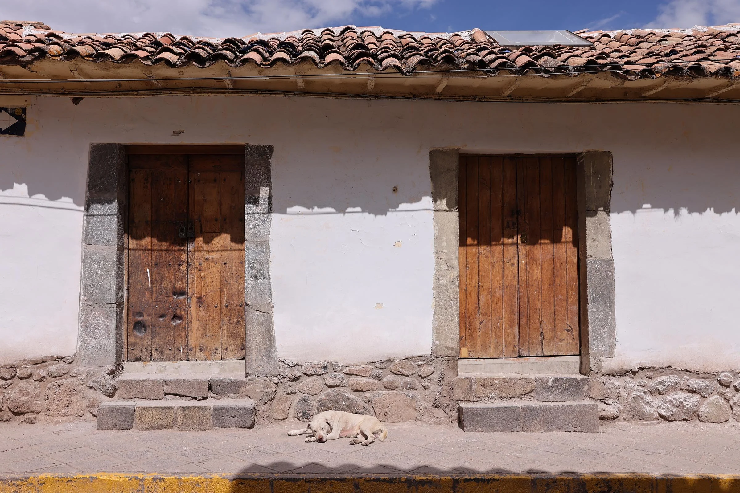 En vit hund vilar i solen på en trottoar i Cusco, Peru