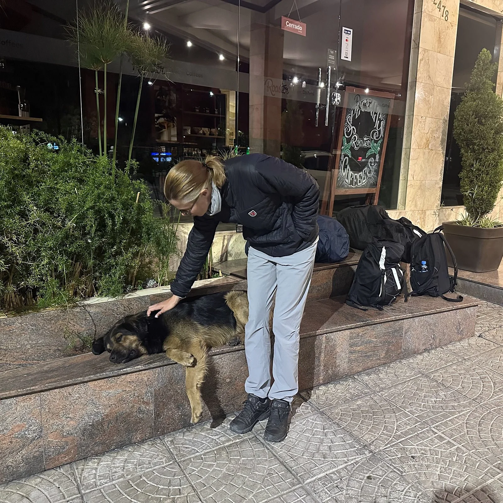 En svartbrun gatuhund vilar och får lite kärlek en tidig morgon i La Paz, Bolivia