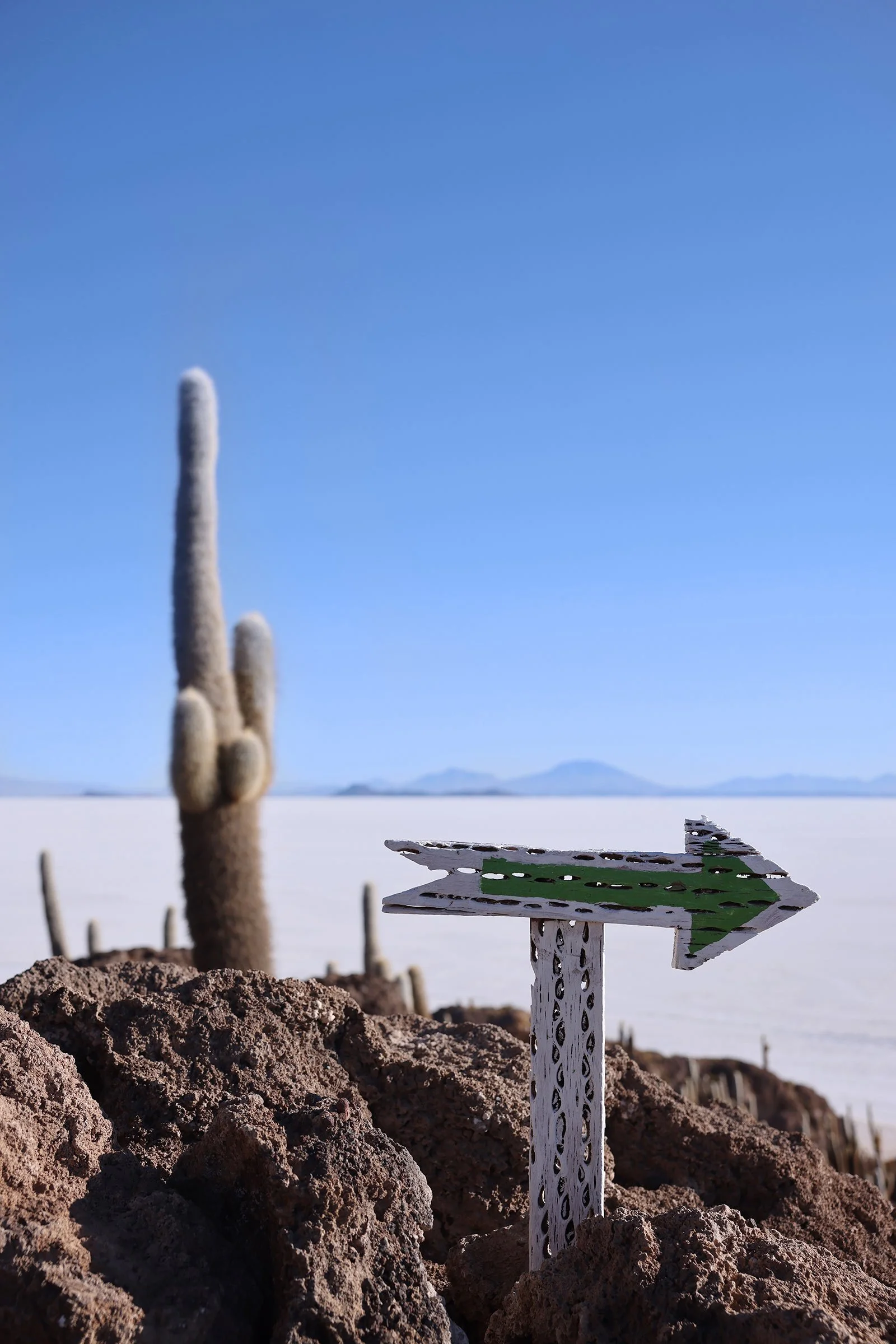 Isla Incahuasi, en ö med kaktusar mitt i Salar de Uyuni