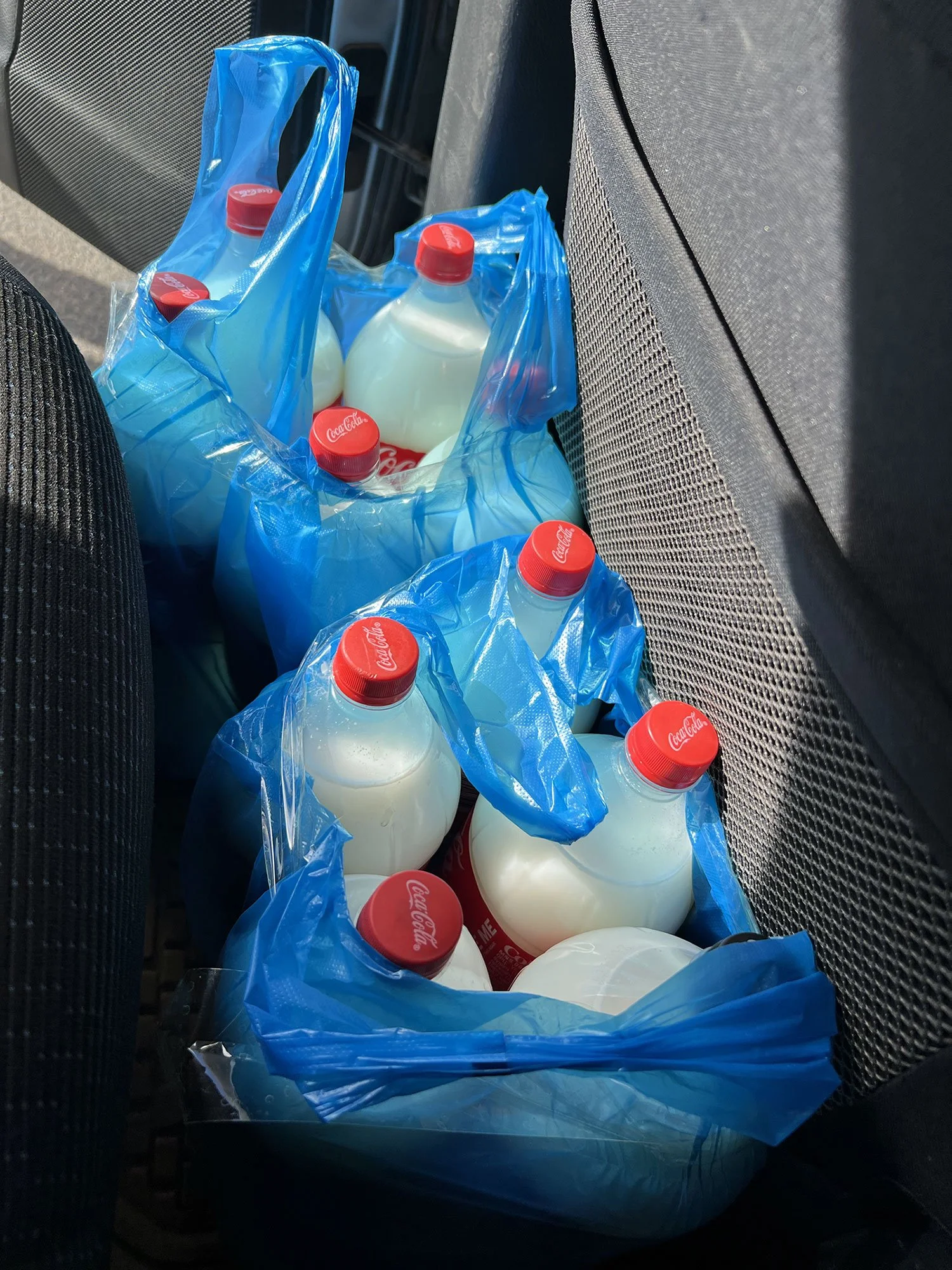 Fermenterad hästmjölk i Coca Cola-flaskor, i baksätet på en bil i Mongoliet