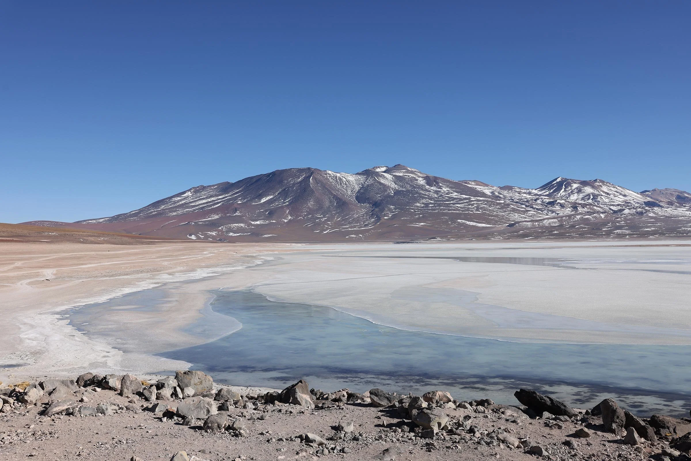 Laguna Blanca, Reserva Nacional de Fauna Andina Eduardo Avaroa, Bolivia