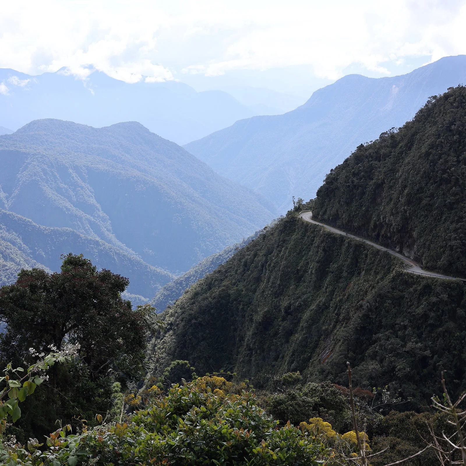 Frodig grönska och bergstoppar längs Dödens väg i Bolivia