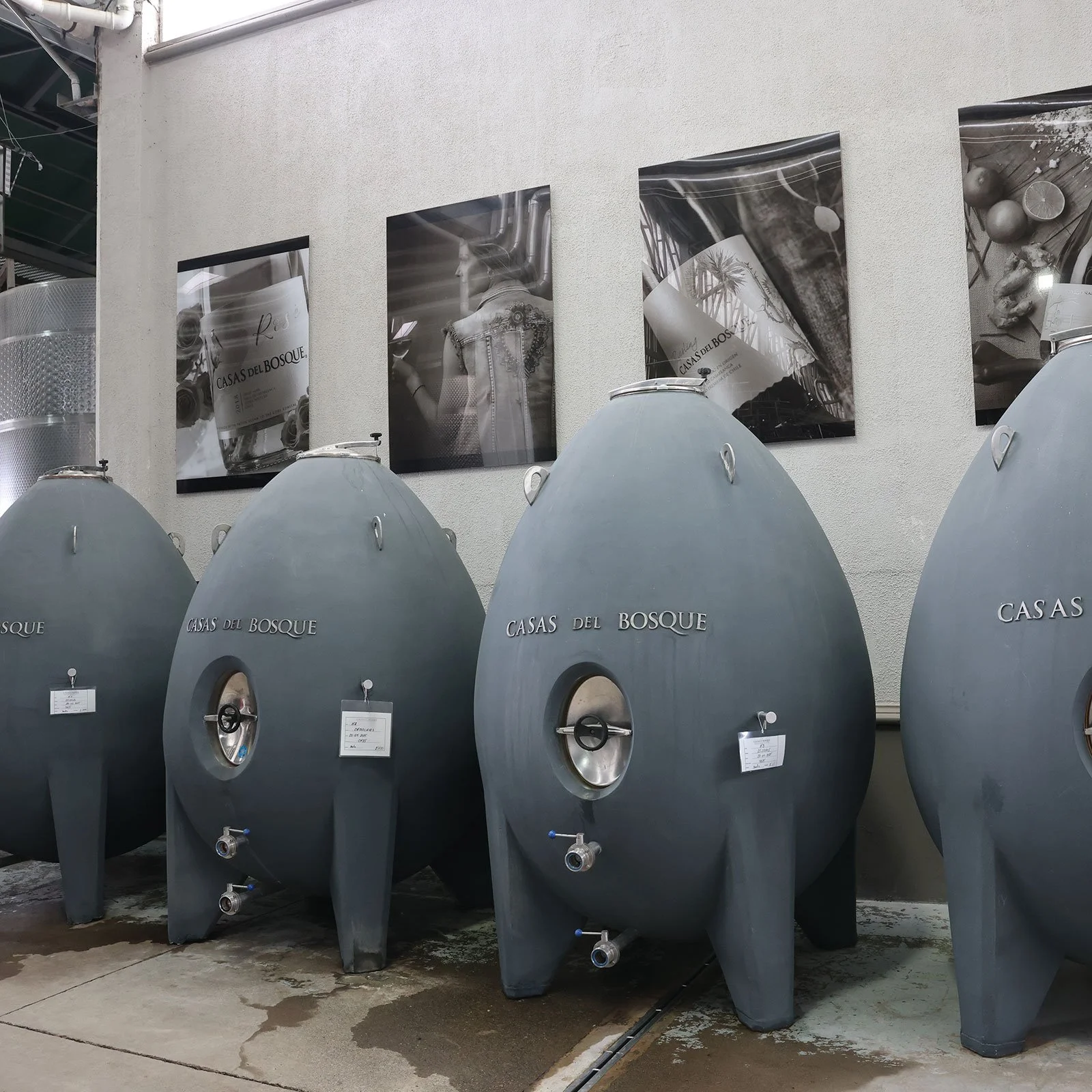 Behållare för lagring av vin på vingården Viña Casas del Bosque, Chile