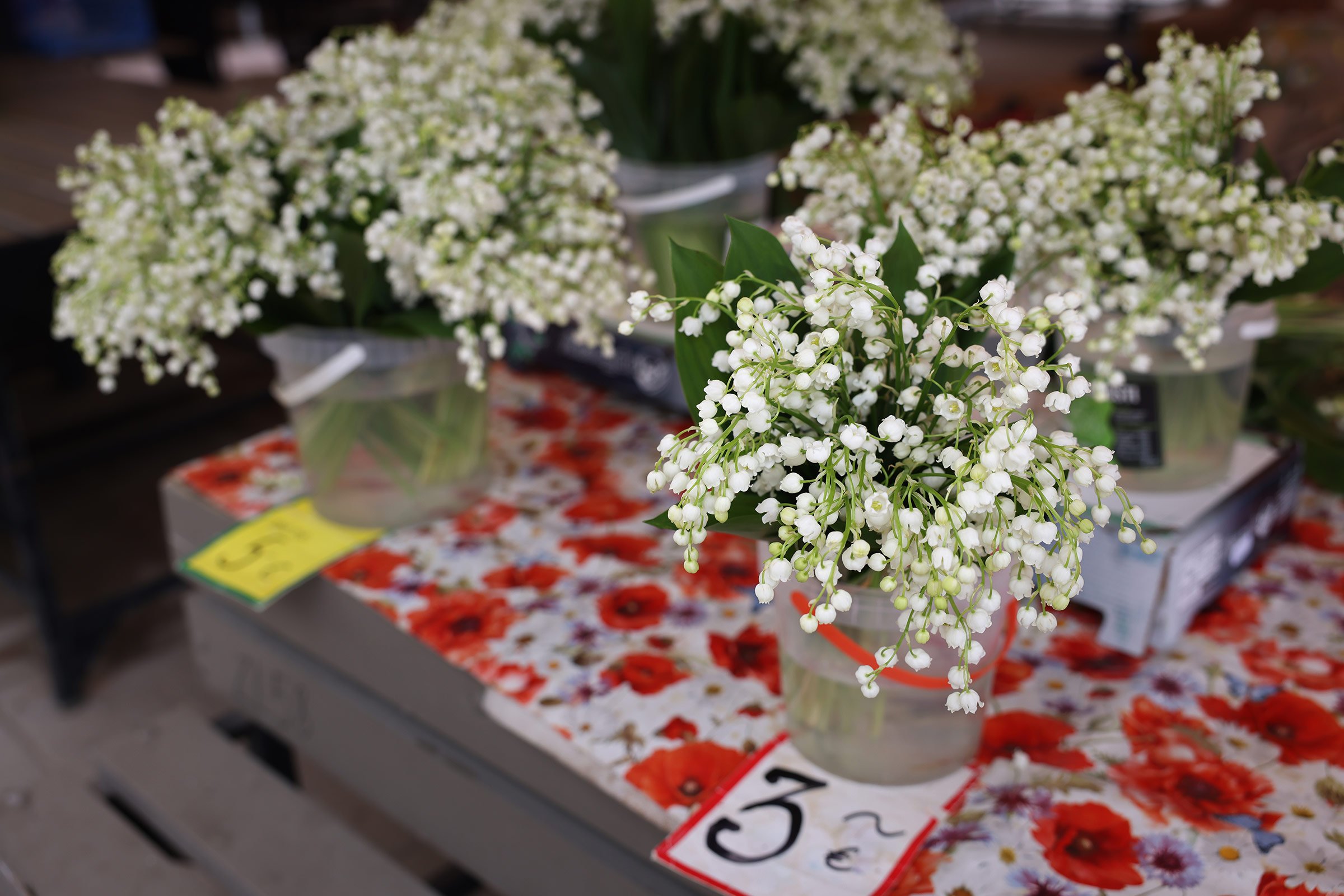 Liljekonvaljer till försäljning på centralmarknaden i Riga