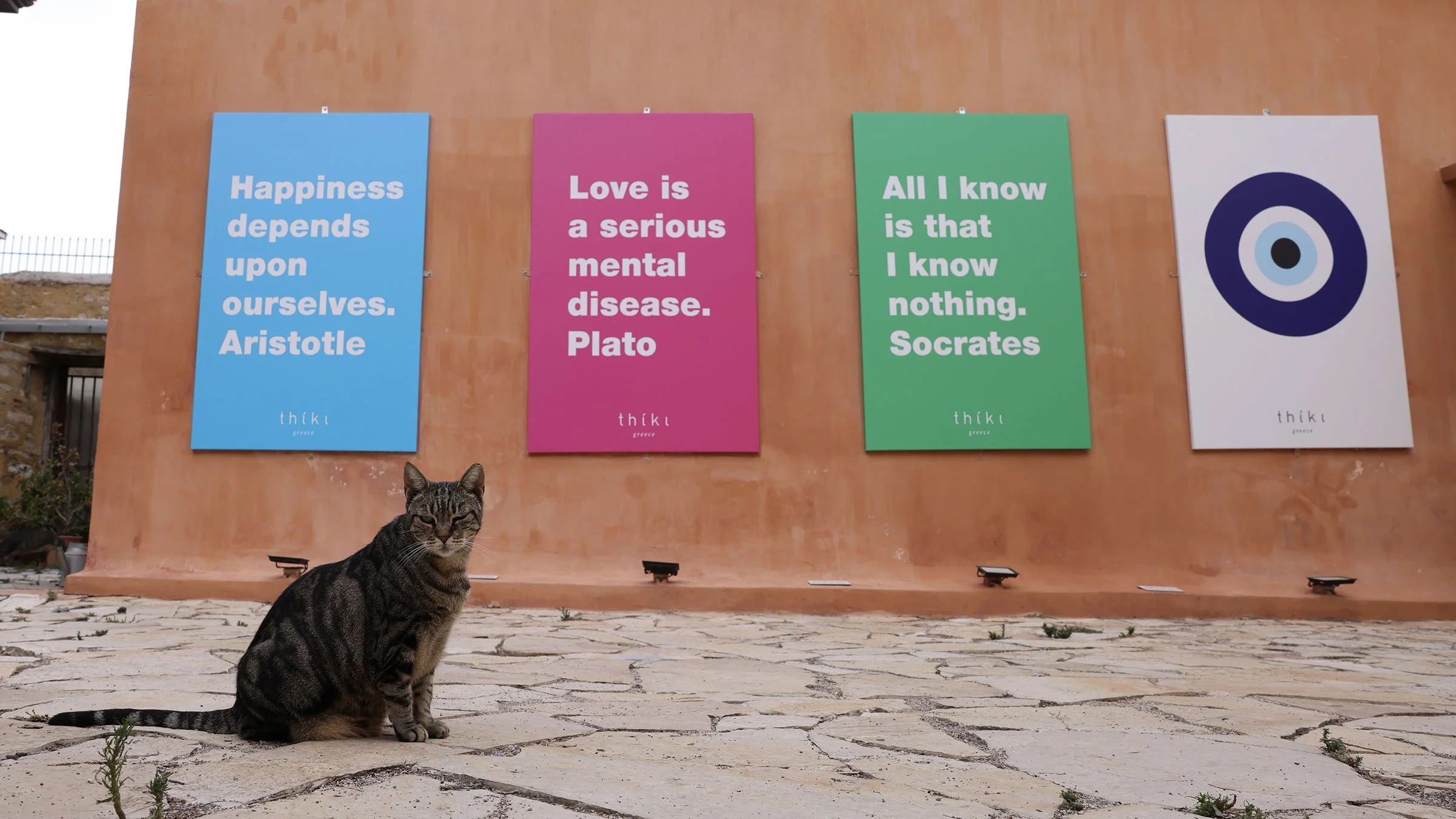 En spräcklig katt sitter framför en vägg i Aten med citat av Aristoteles, Platon och Socrates