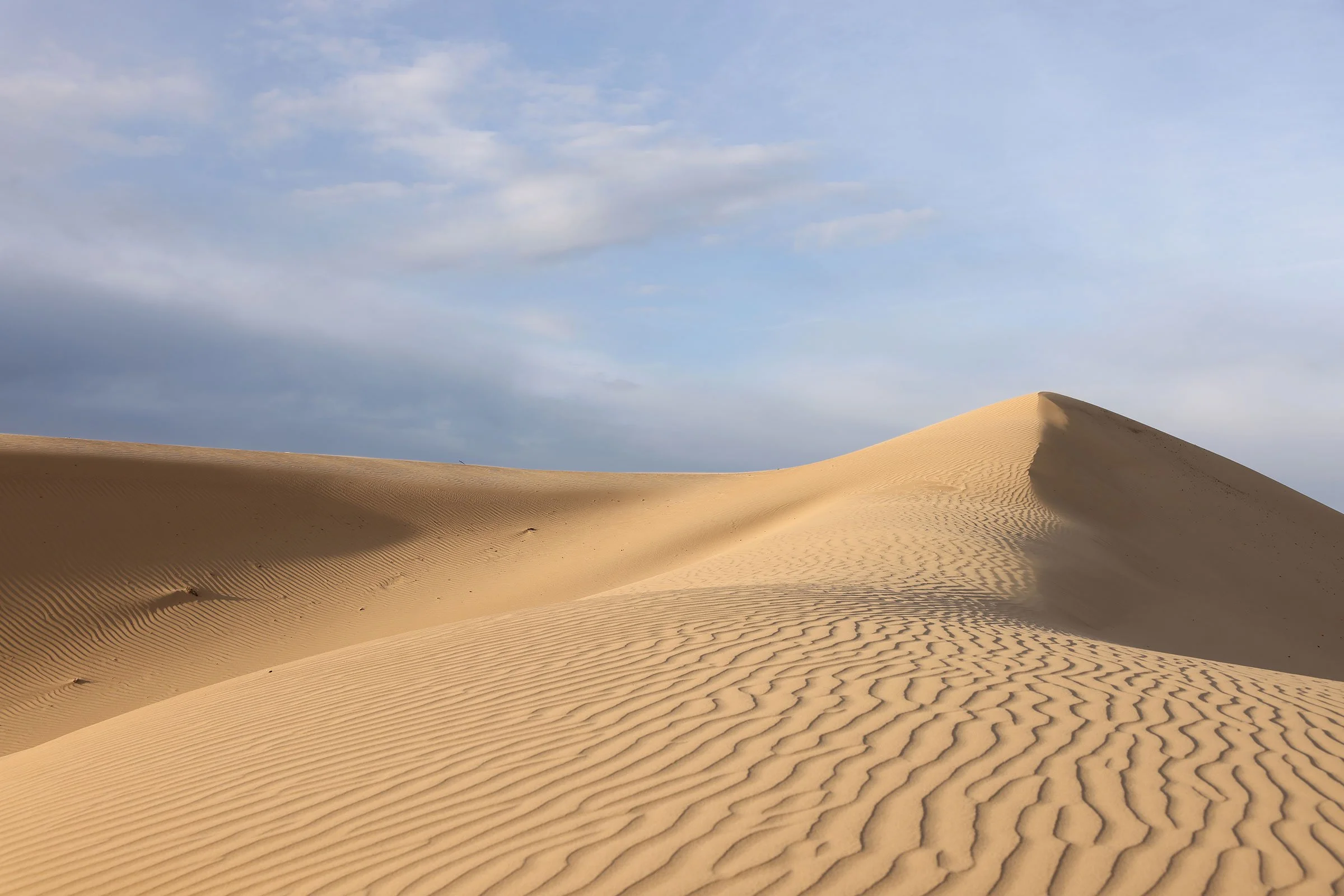 Sanddyn i Elsen Tasarkhai, Mini Gobi, i Mongoliet