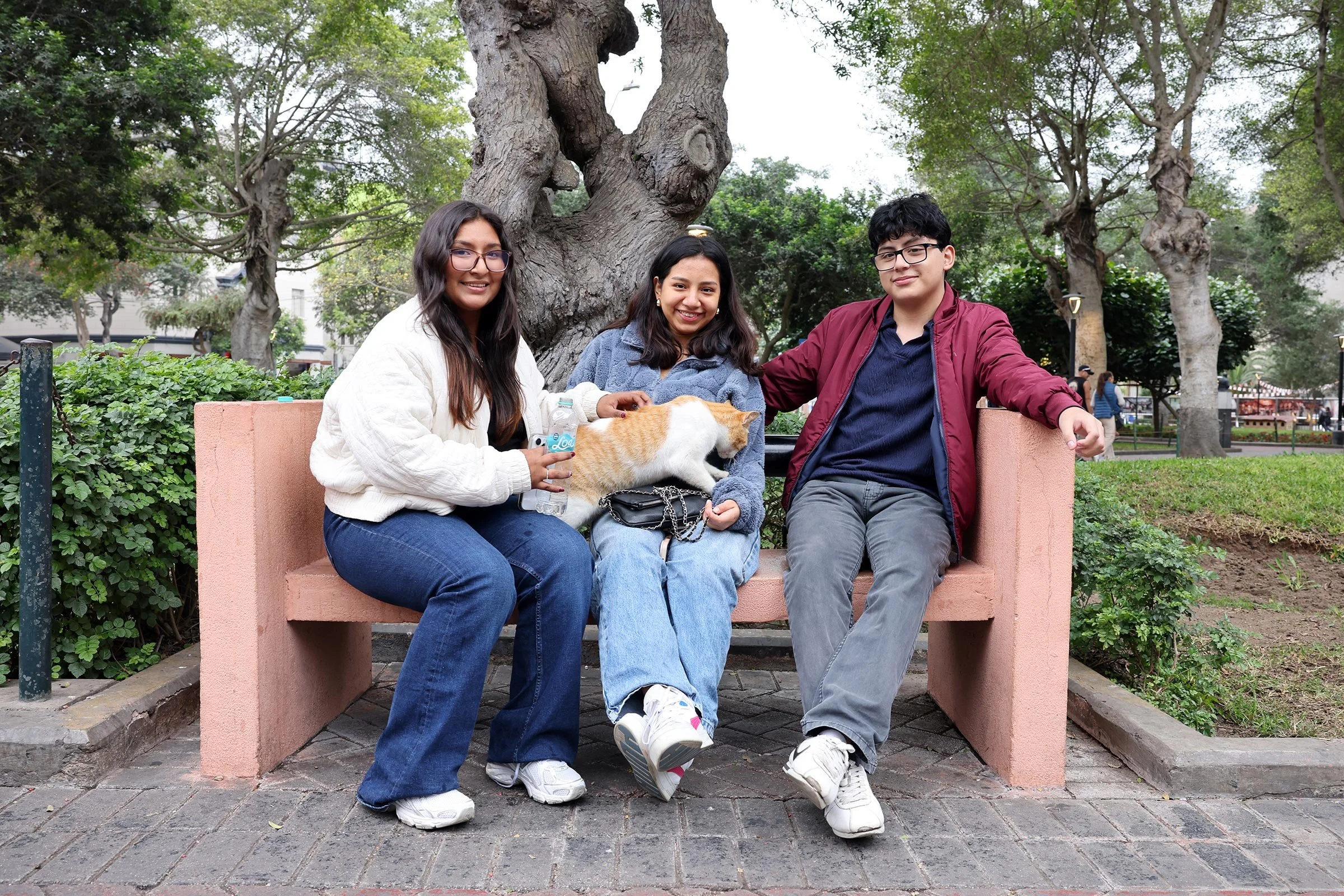 Tre glada ungdomar och en gosig katt på en bänk i parken Parque Kennedy i Lima, Peru
