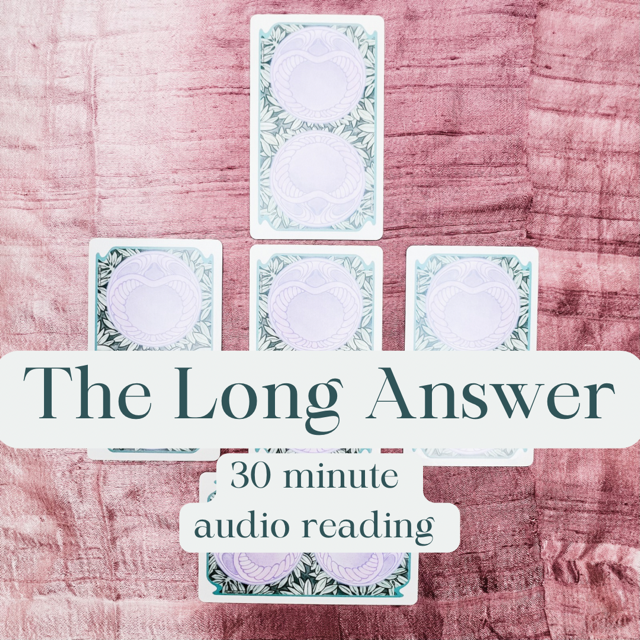 The Long Answer- 30 minute audio email reading