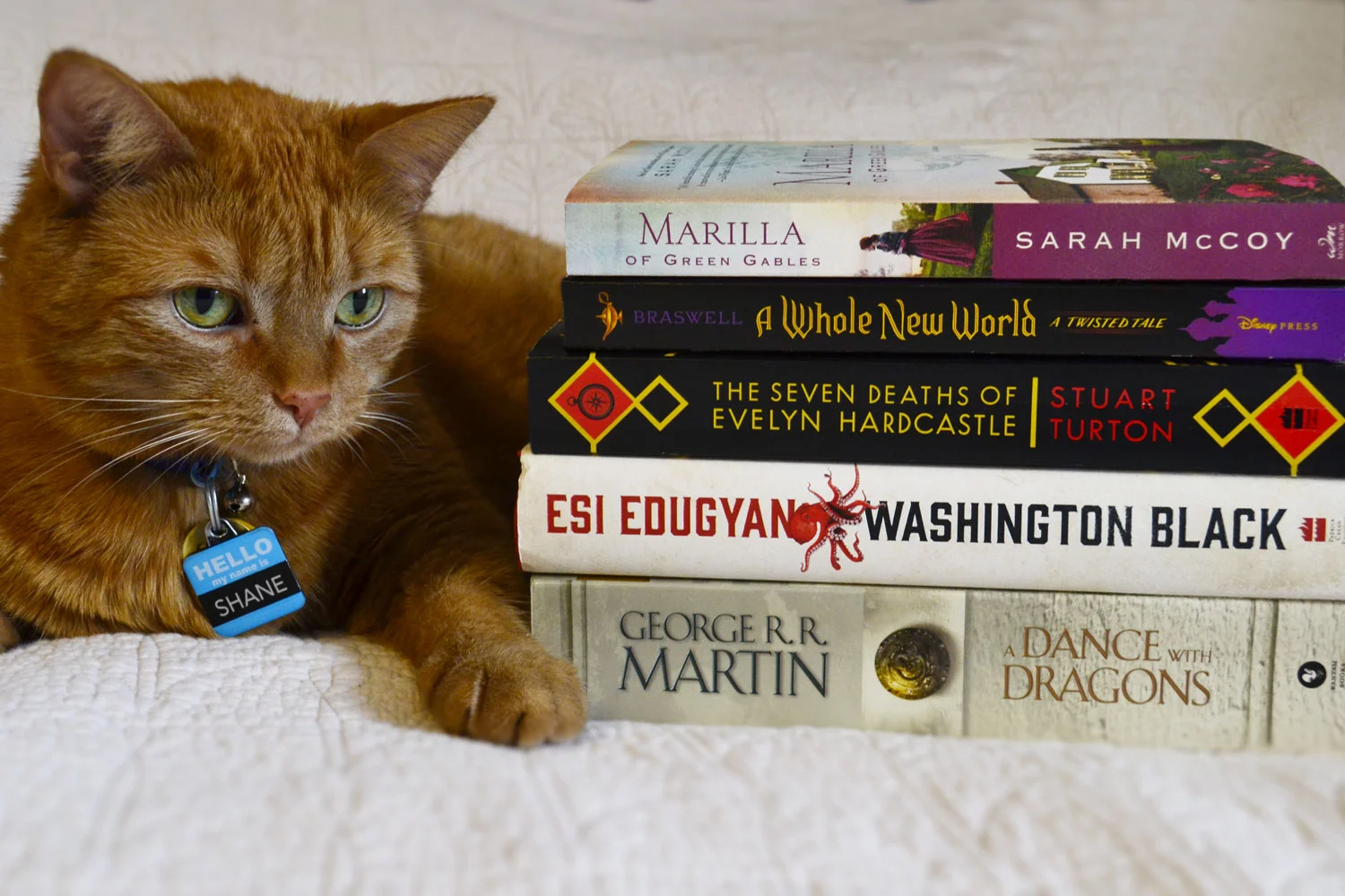 BestBooks2018-Shane.jpg