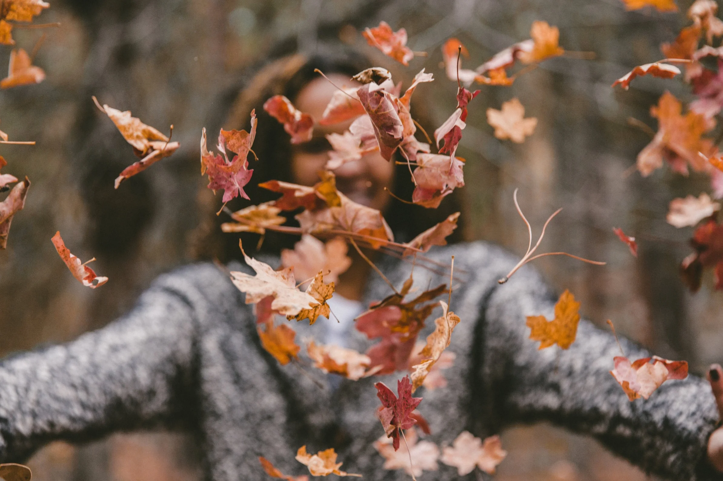 7 Things I Love About Autumn