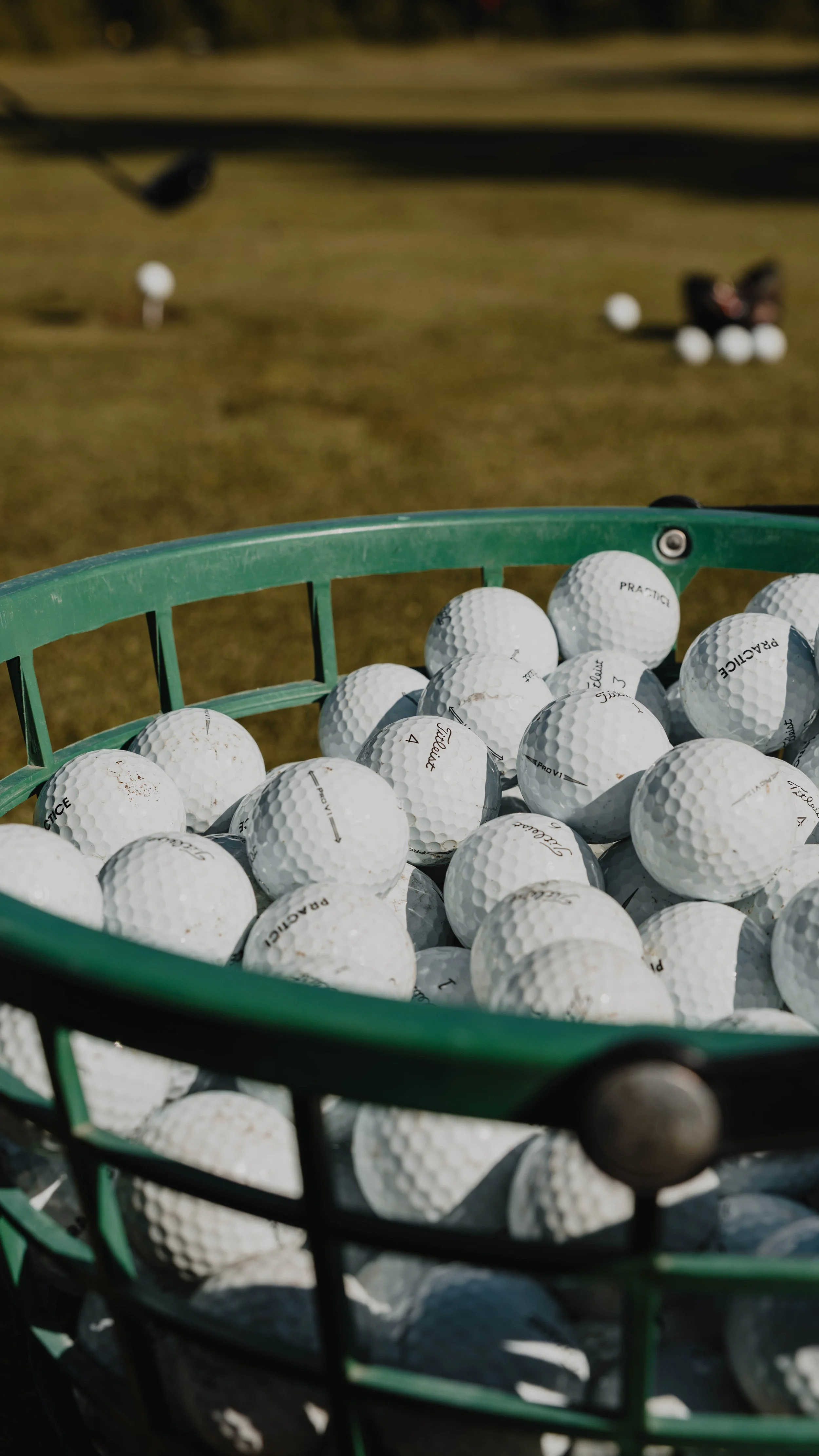 TitleistFitting-9.jpg