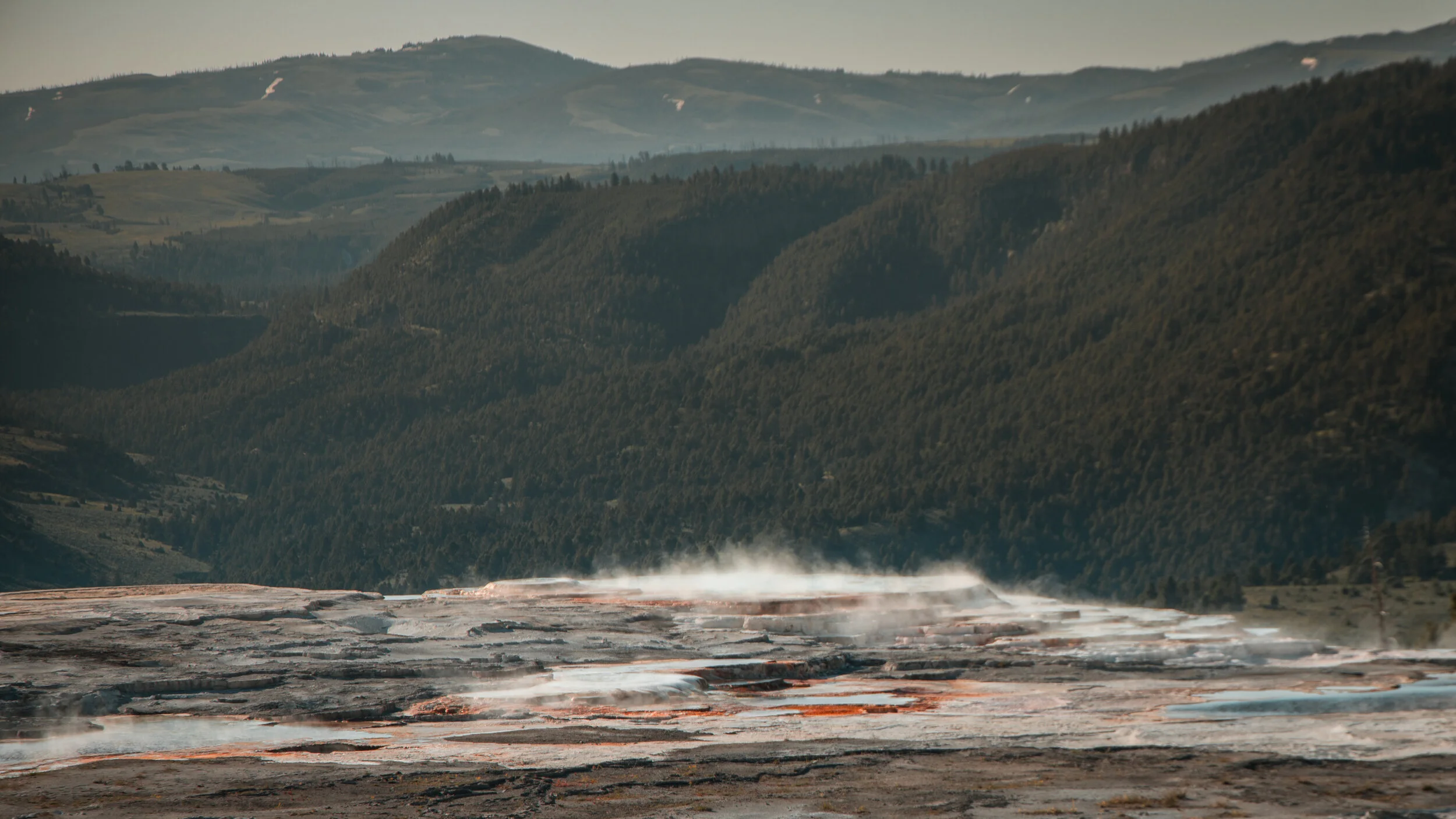 YellowstoneWebsite-5.jpg