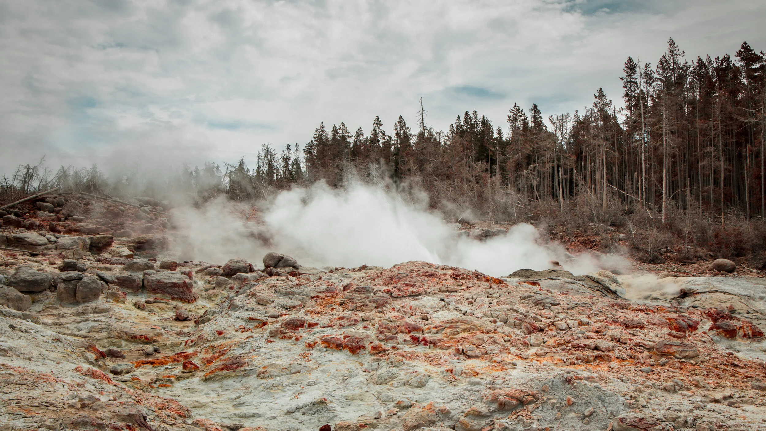YellowstoneWebsite-12.jpg