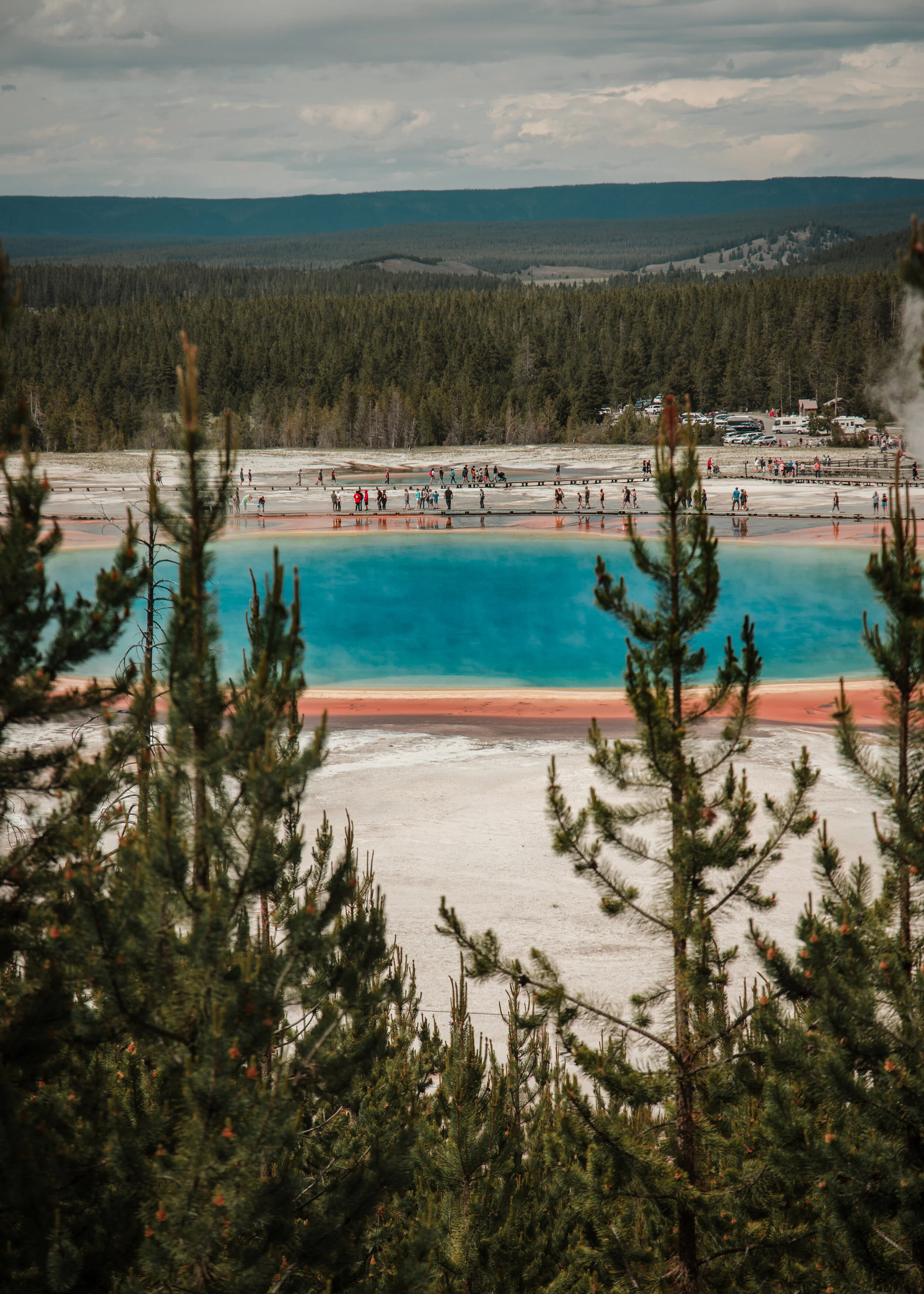 YellowstoneWebsite-18.jpg