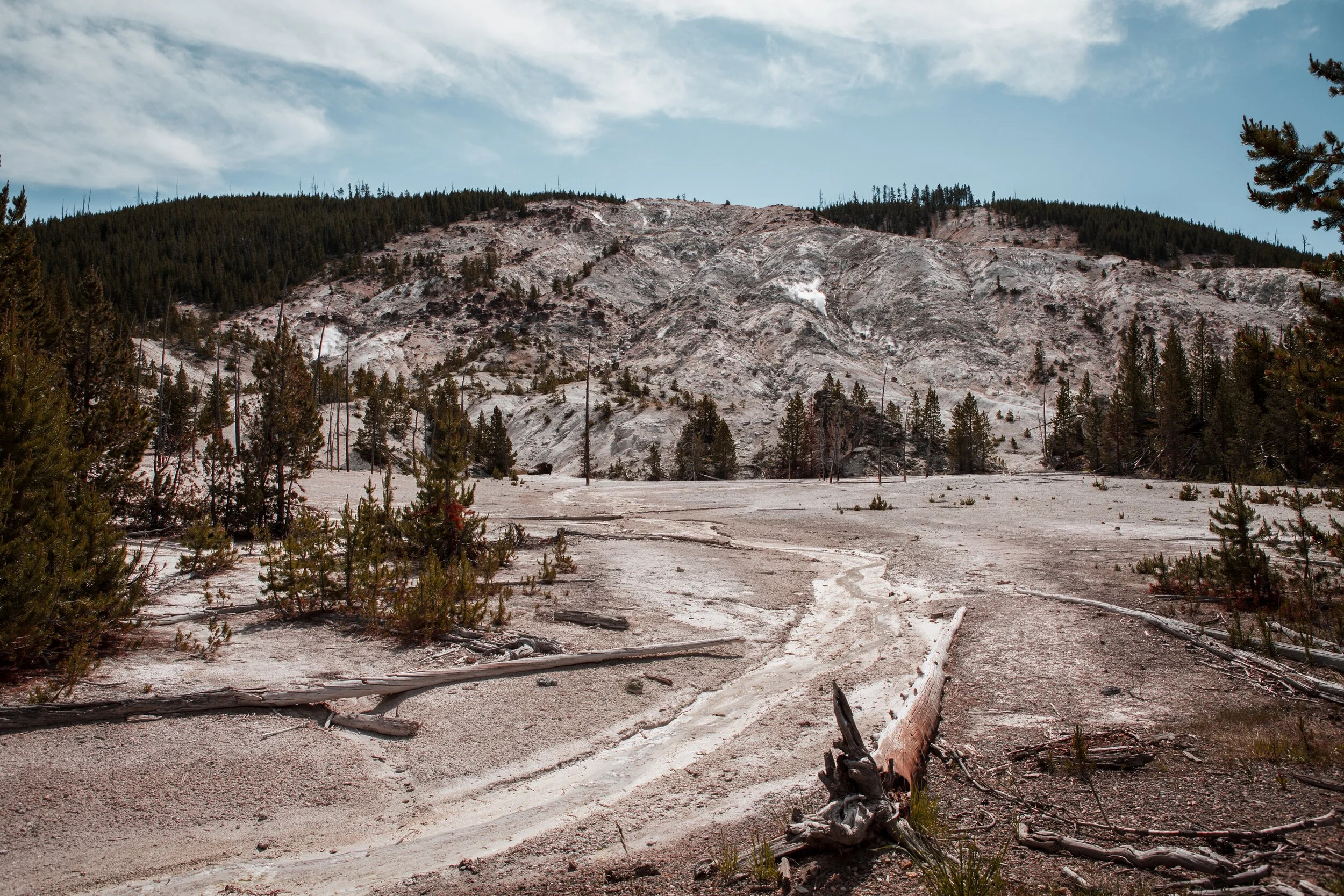 YellowstoneWebsite-9.jpg