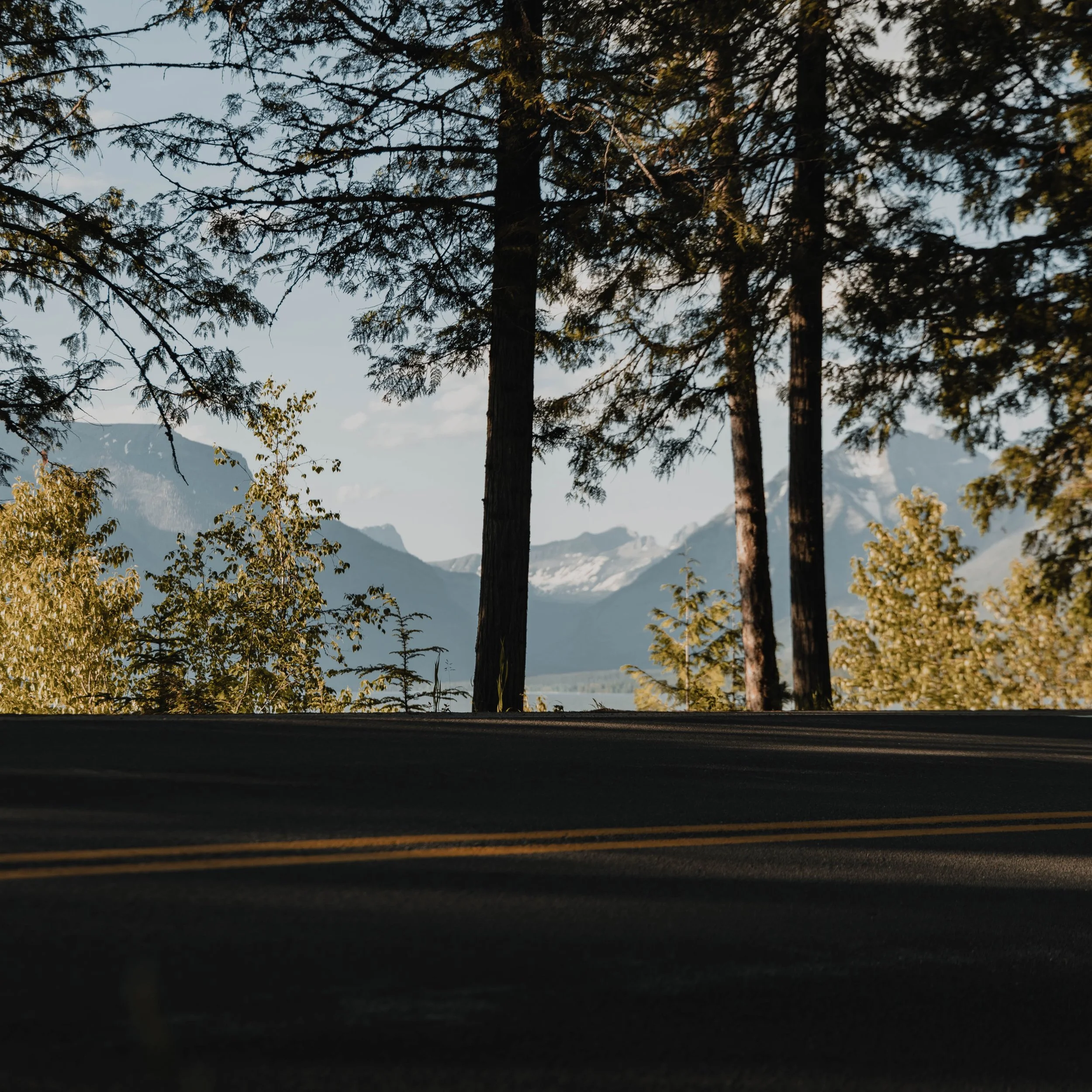 Montana Website.jpg
