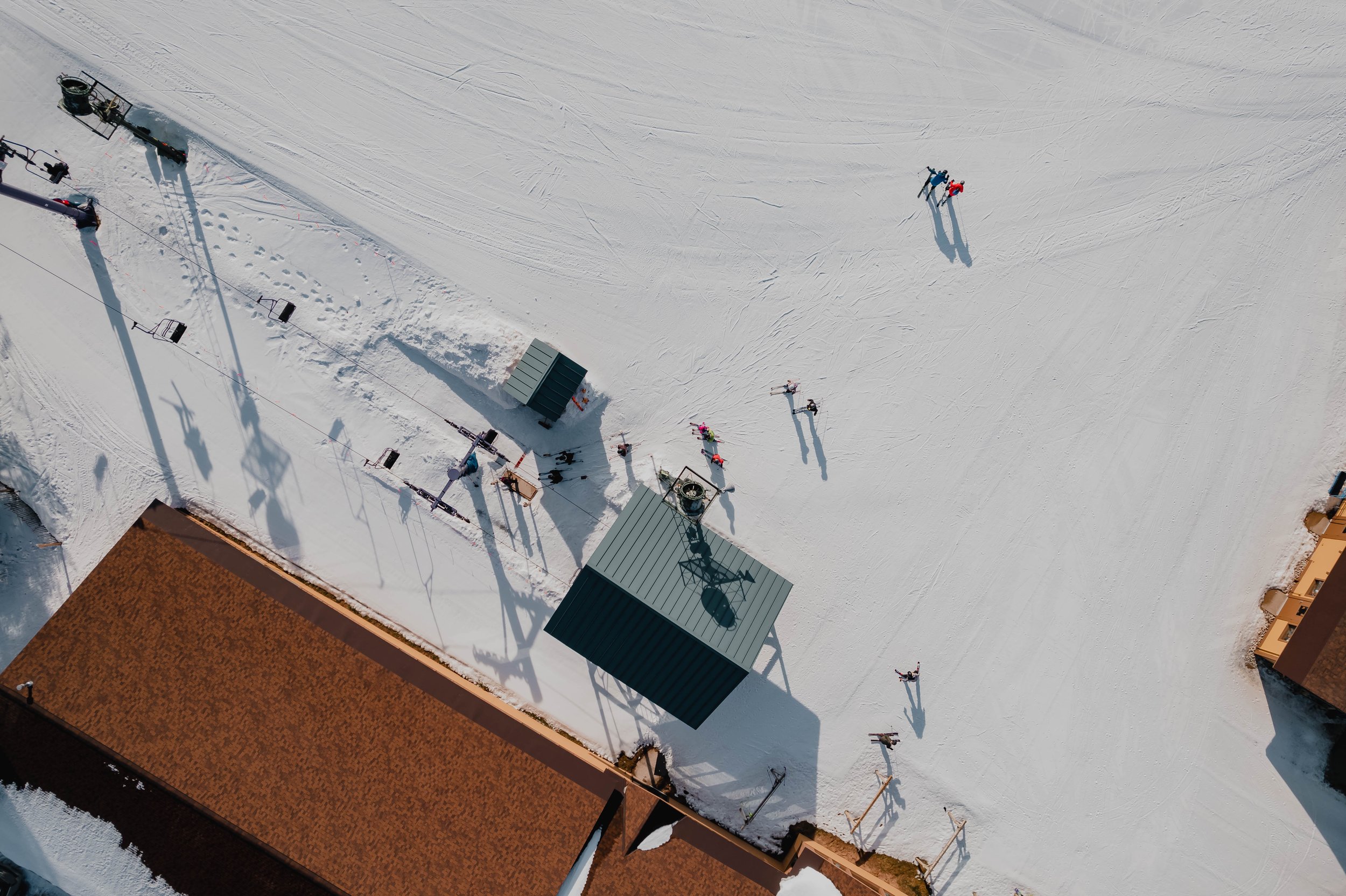AerialBluebird-2.jpg