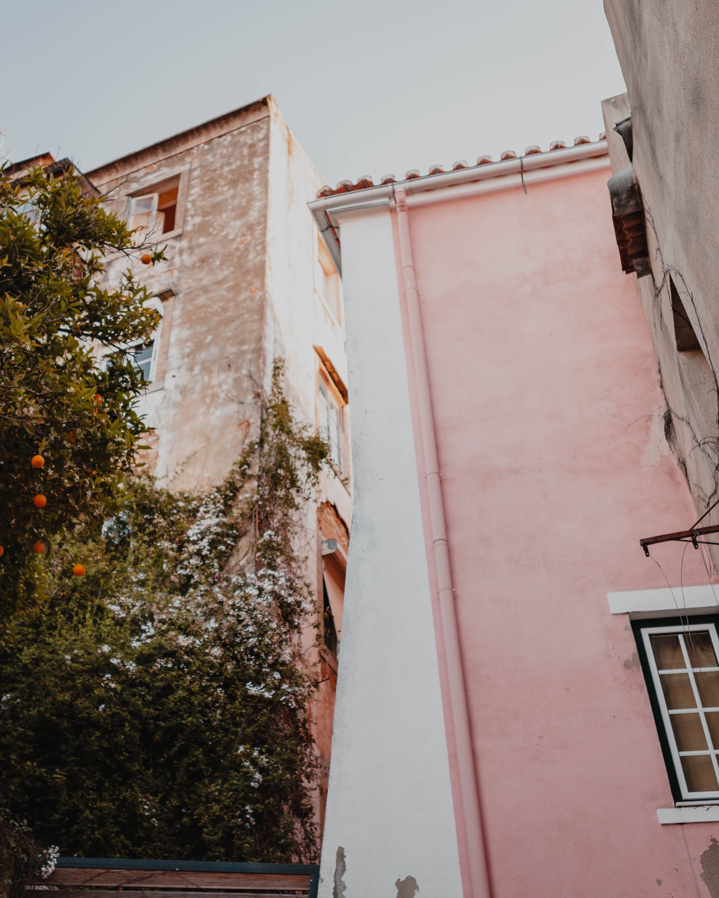 Lisbon Website-10.jpg