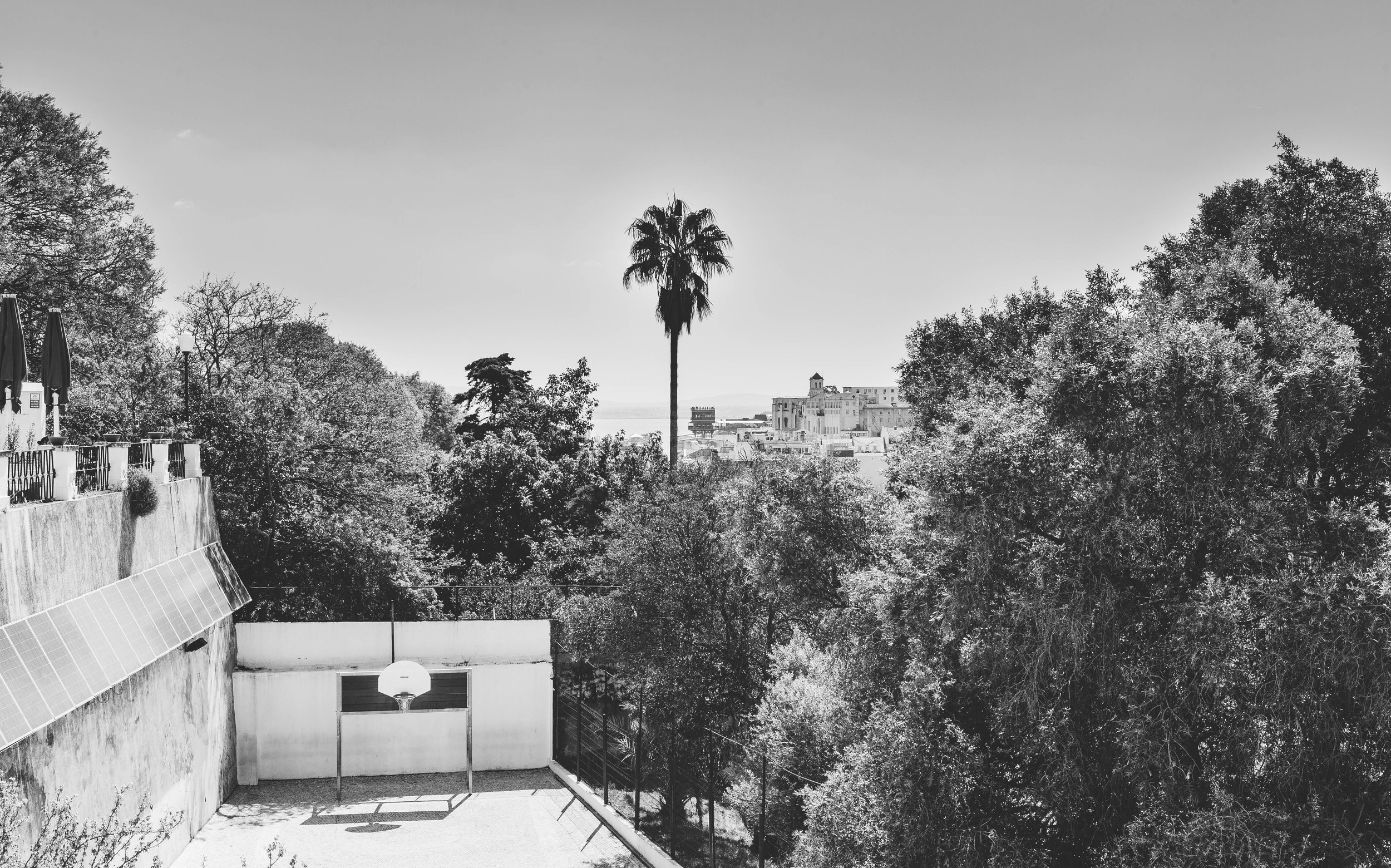Lisbon Website.jpg
