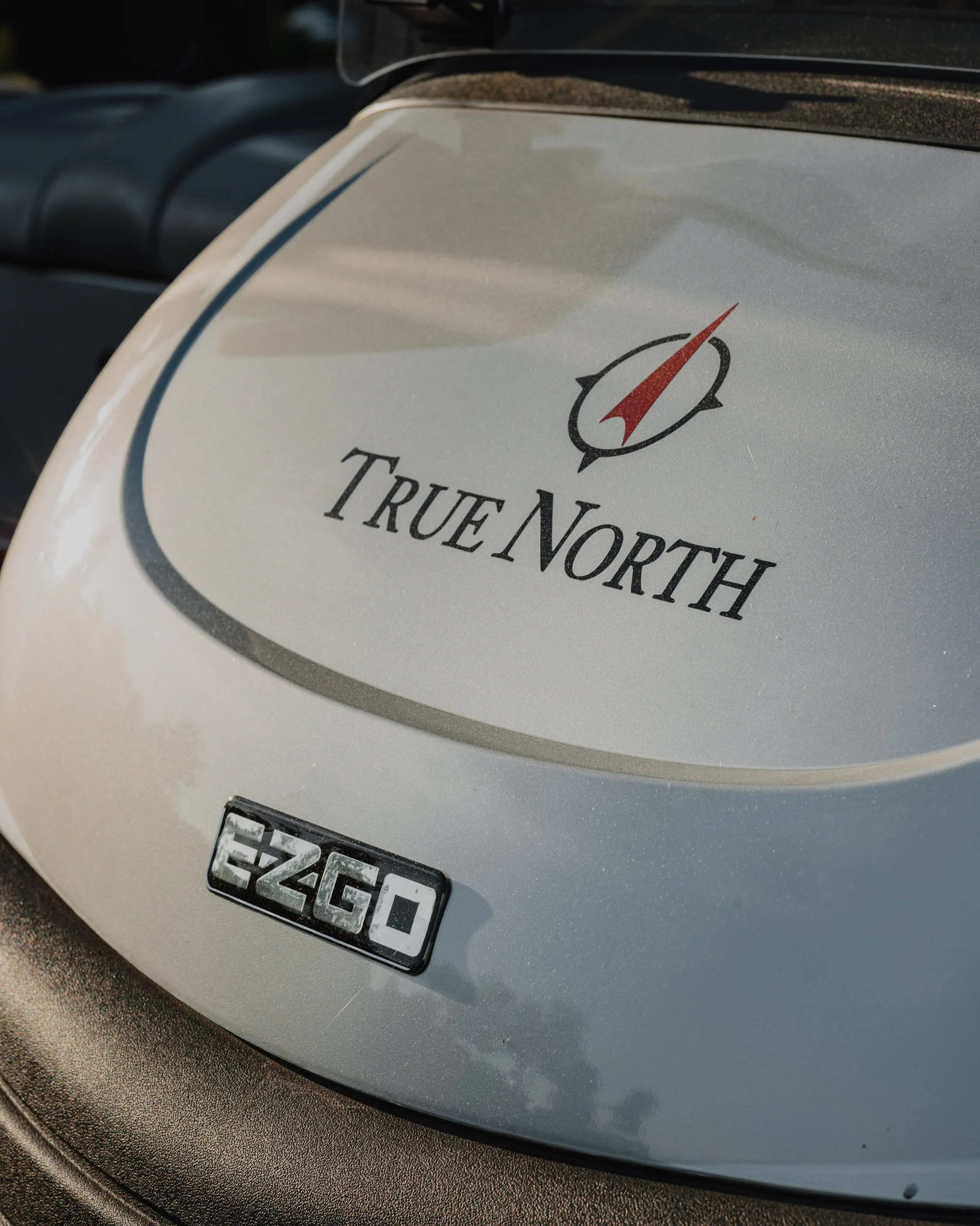 True North Web3-4.jpg