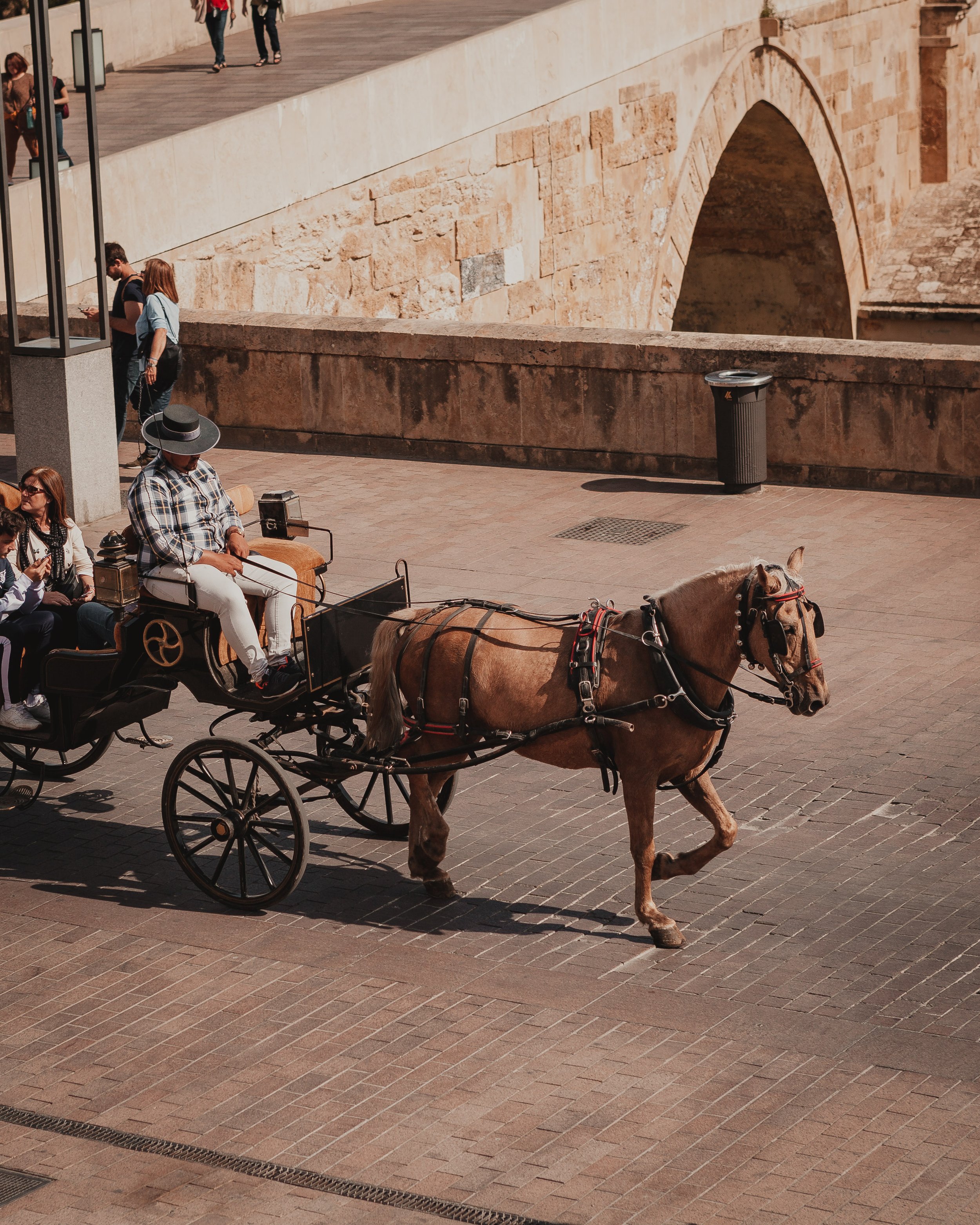 Spain Web-7.jpg