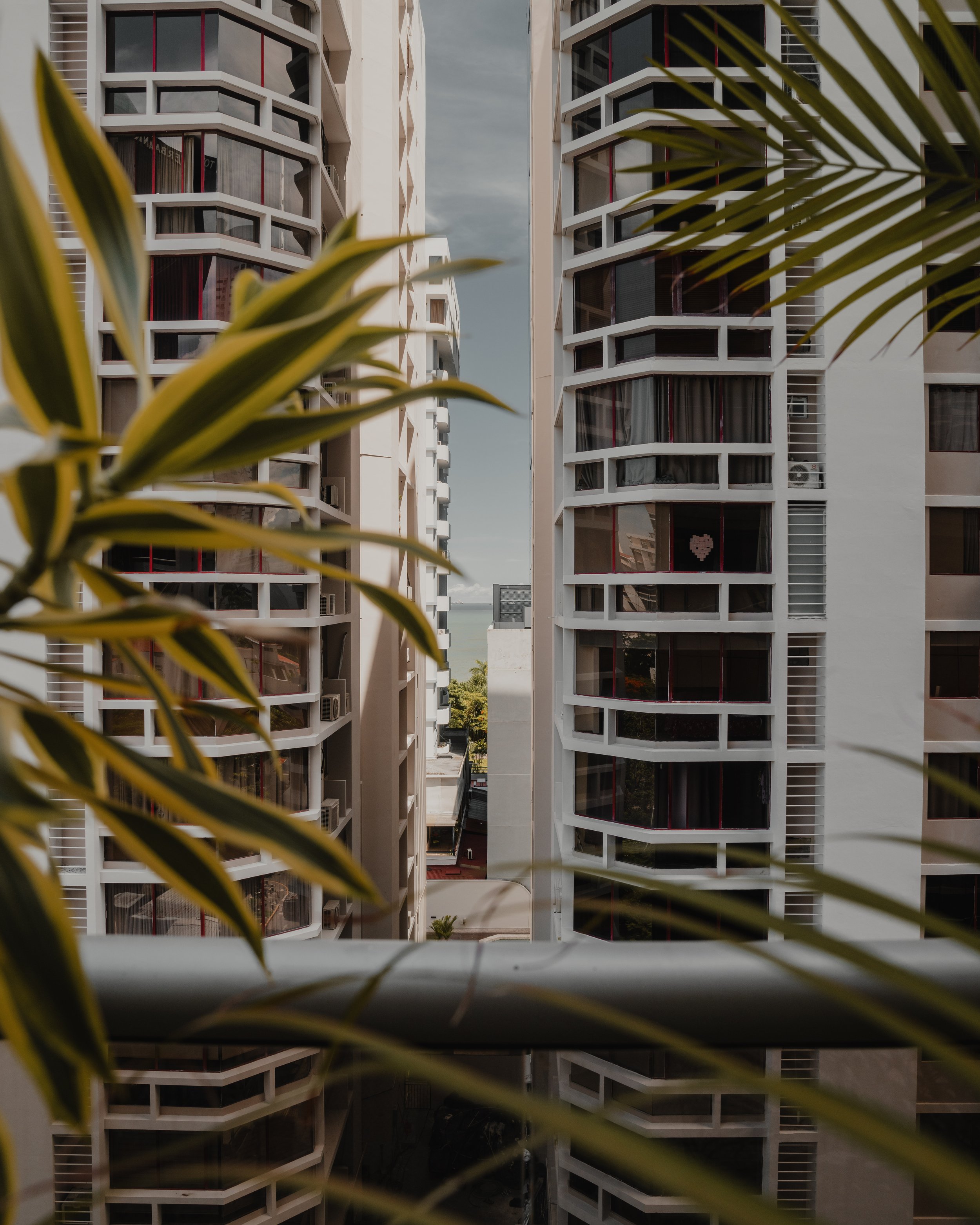 Misc Details-4.jpg