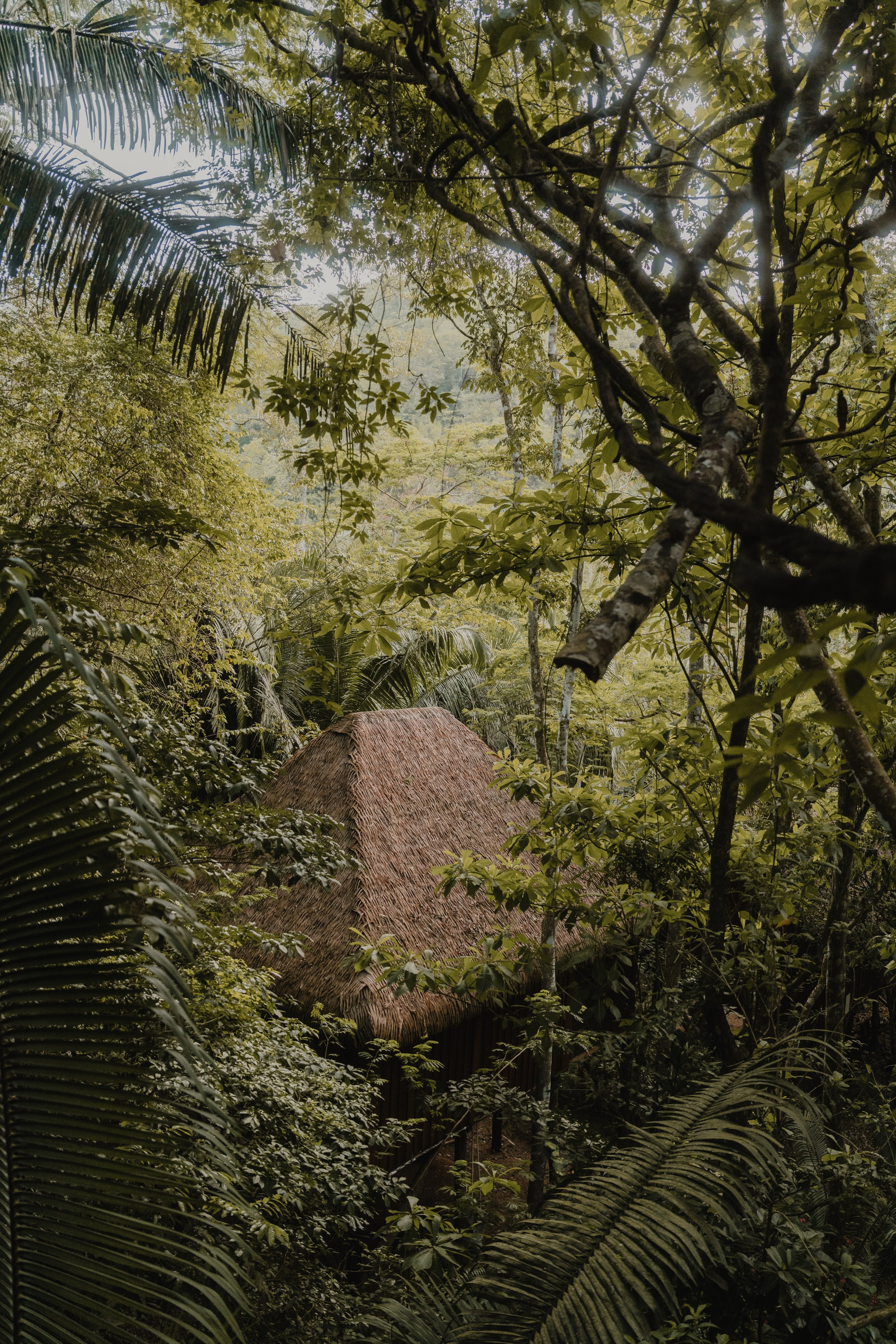 Muy'Ono Website2-4.jpg