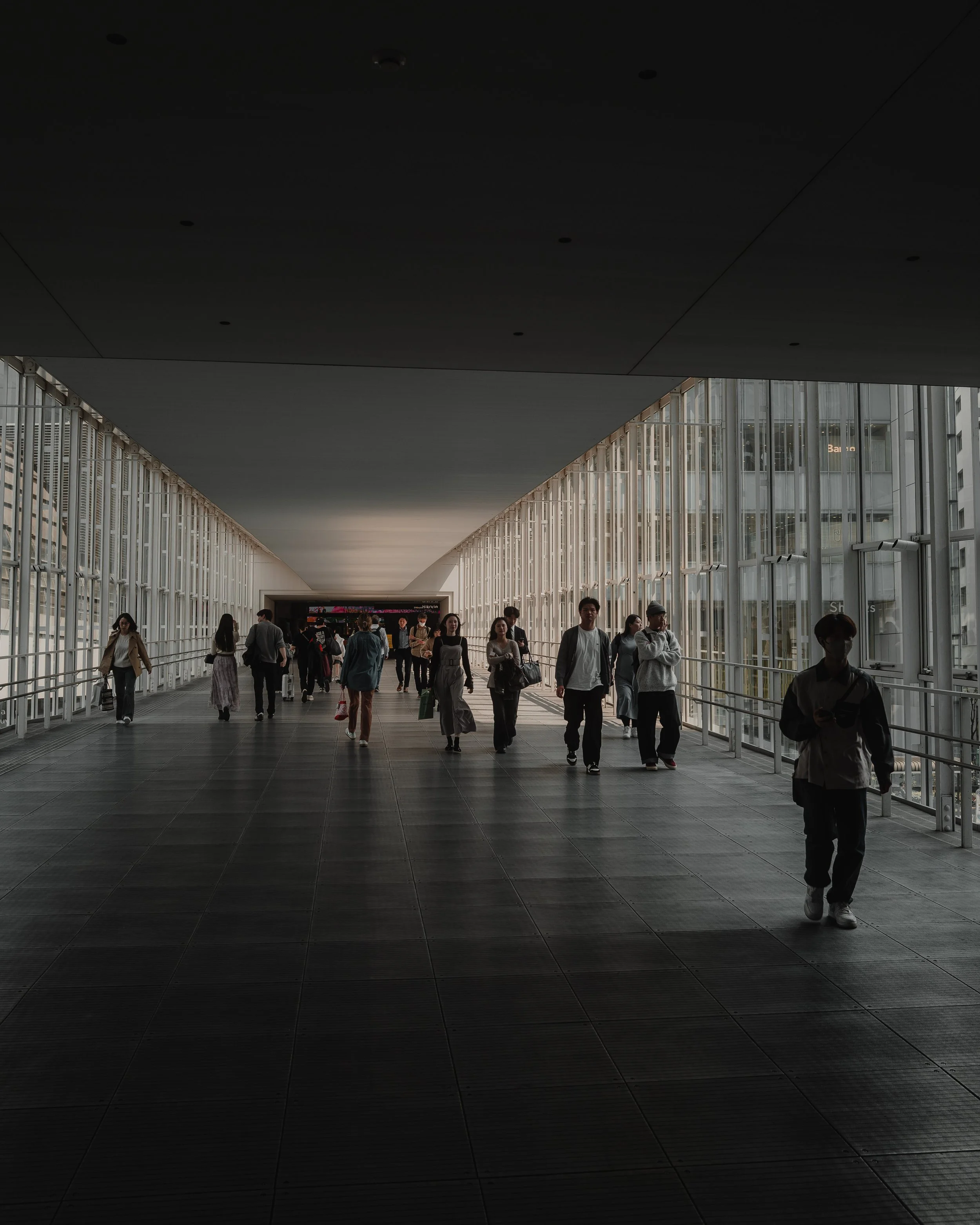 Header1.jpg