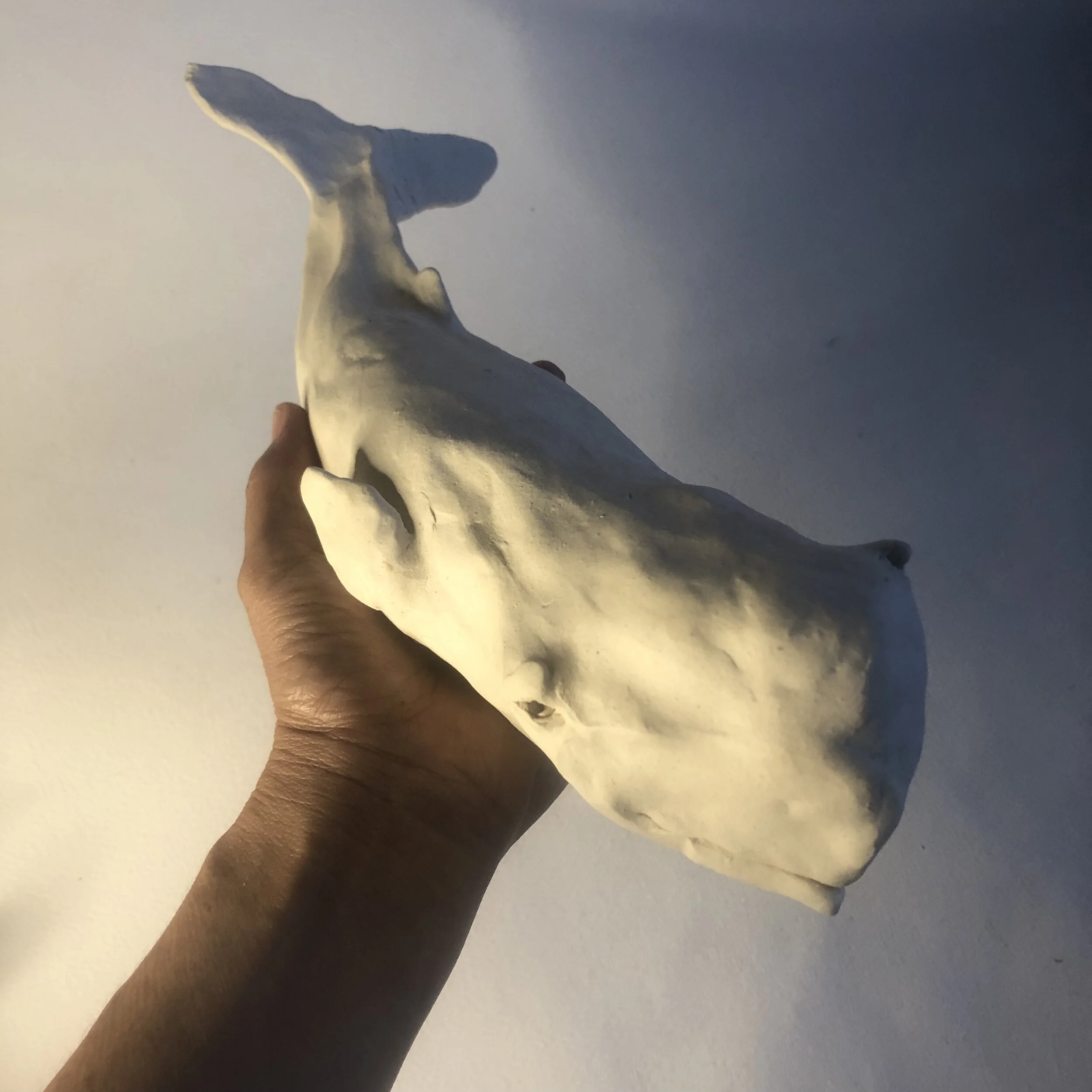 B0F1C6D8-6BF1-4ACB-A389-F6A80DC41034