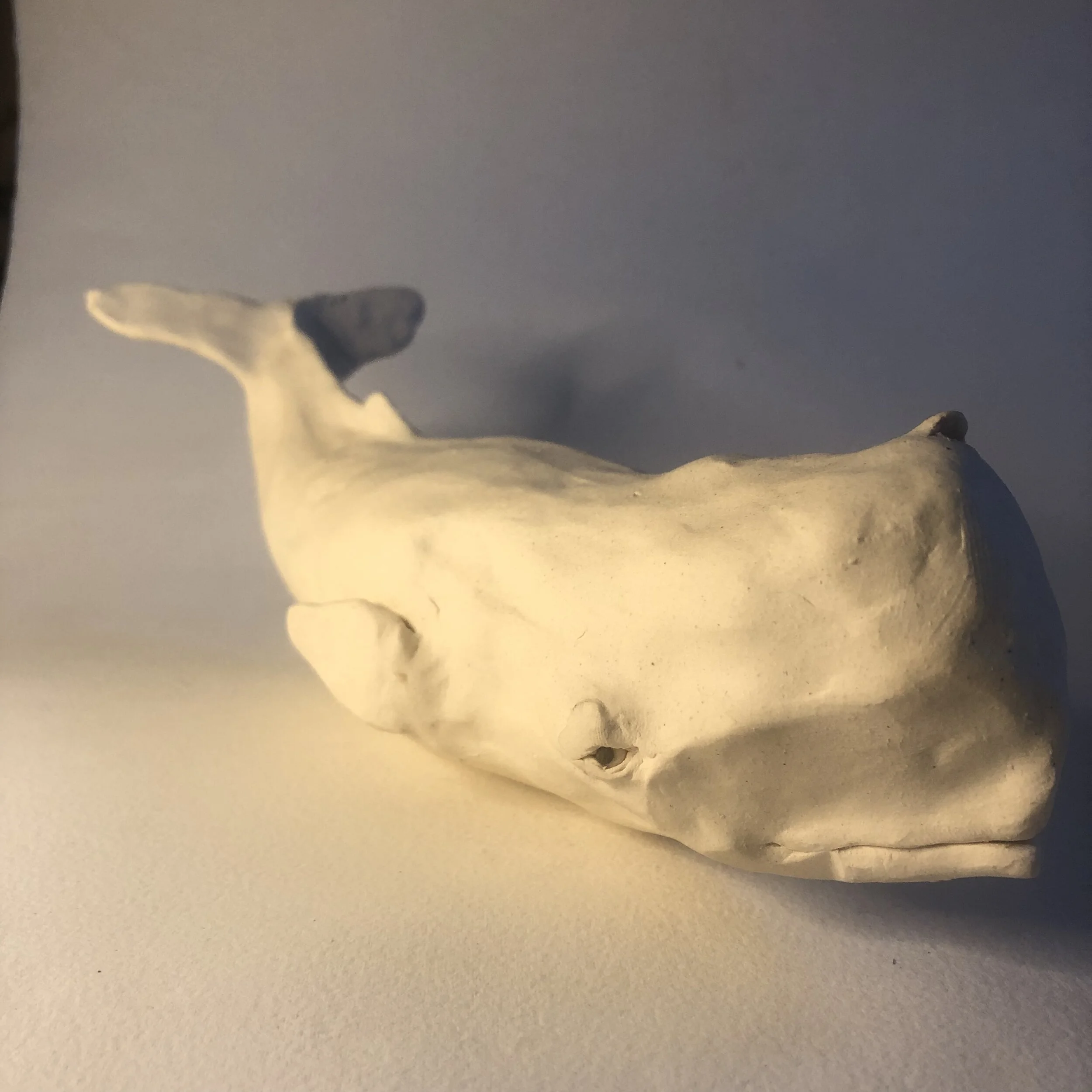 63FD2C3E-BA92-47E5-AA0C-F94B6C1DCF00