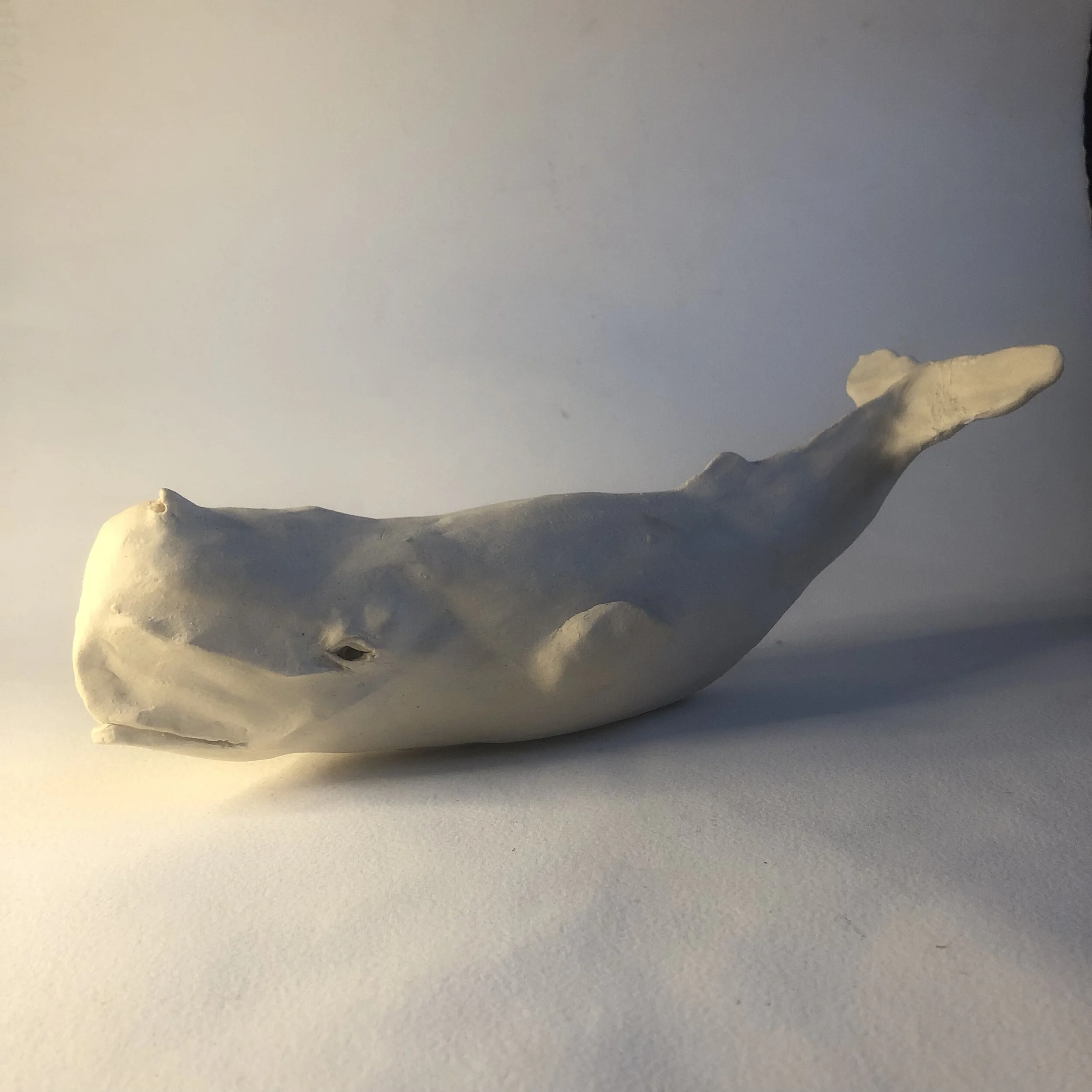 073D2606-8485-4308-A693-601CFFCDA39E